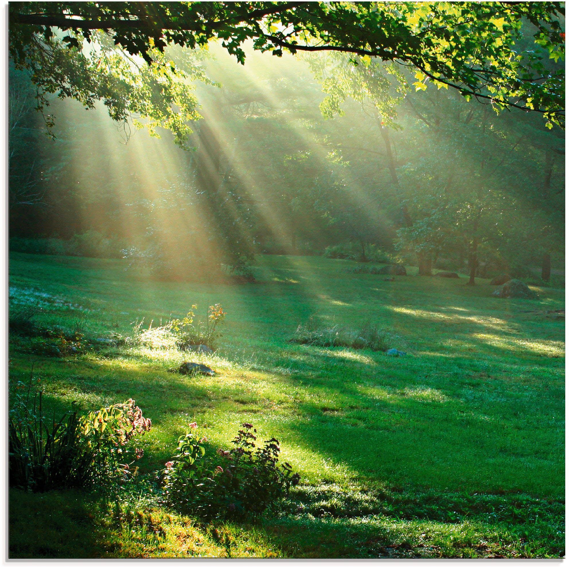 Artland Glasbild Lichtkegel, Wald (1 St), günstig online kaufen