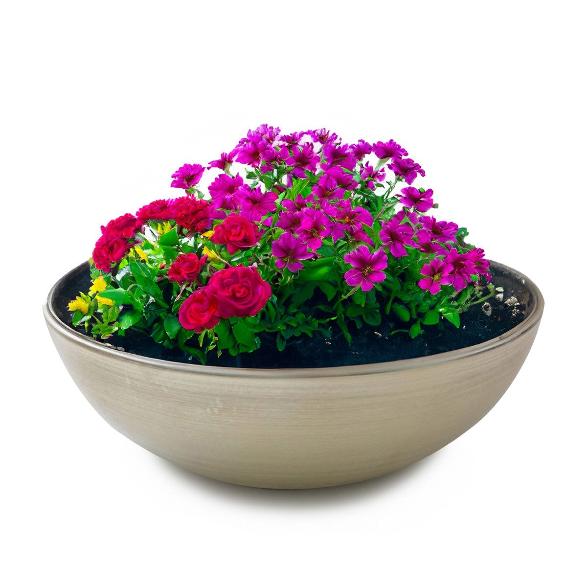 matches21 HOME & HOBBY Blumentopf Pflanzschale günstig online kaufen
