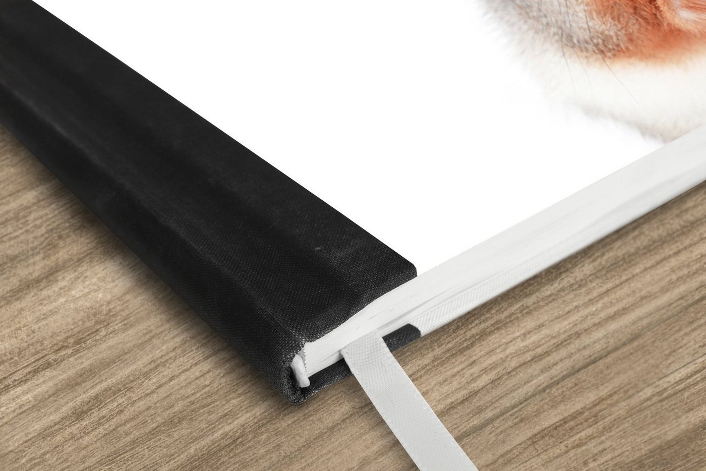 Thumbnail - MuchoWow Notizbuch Eichhörnchen - Tiere - Natur - Orange - Weiß, Journal, Merkzettel, Tagebuch, Notizheft, A5, 98 Seiten...