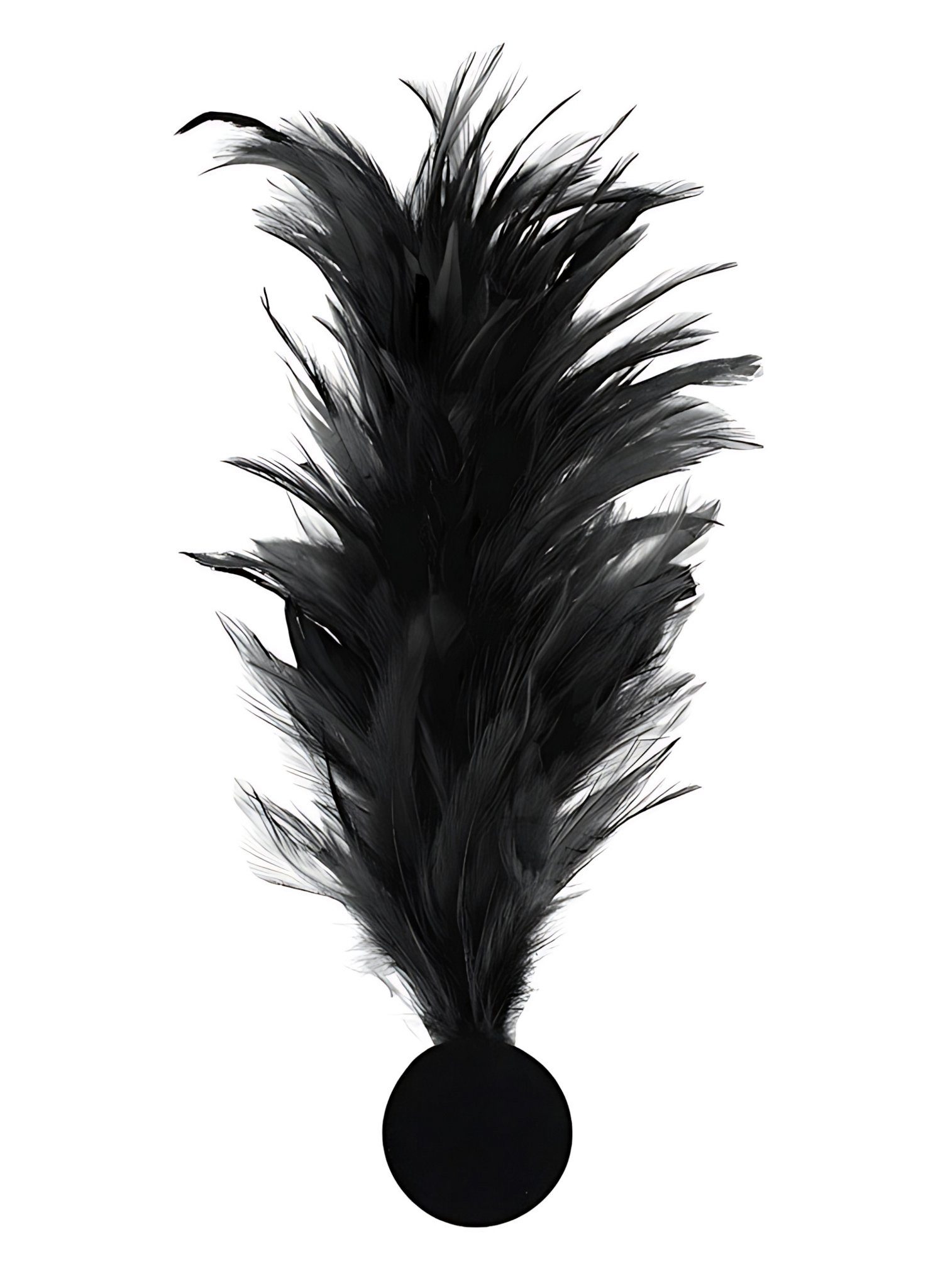 thetru Kostüm Ansteck-Federn in verschiedenen Farben, Federgesteck zur Befe günstig online kaufen