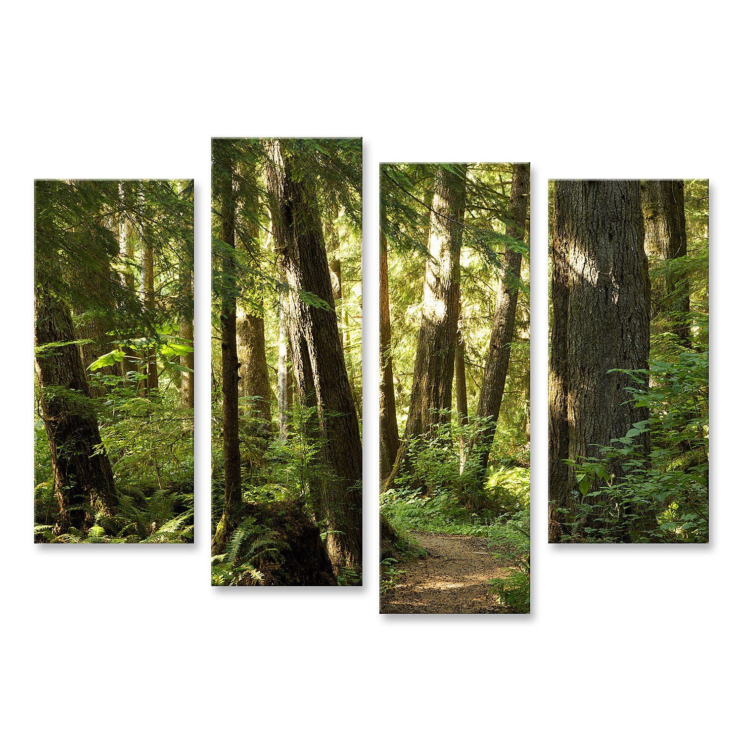 islandburner Leinwandbild Bäume Wald Bilder