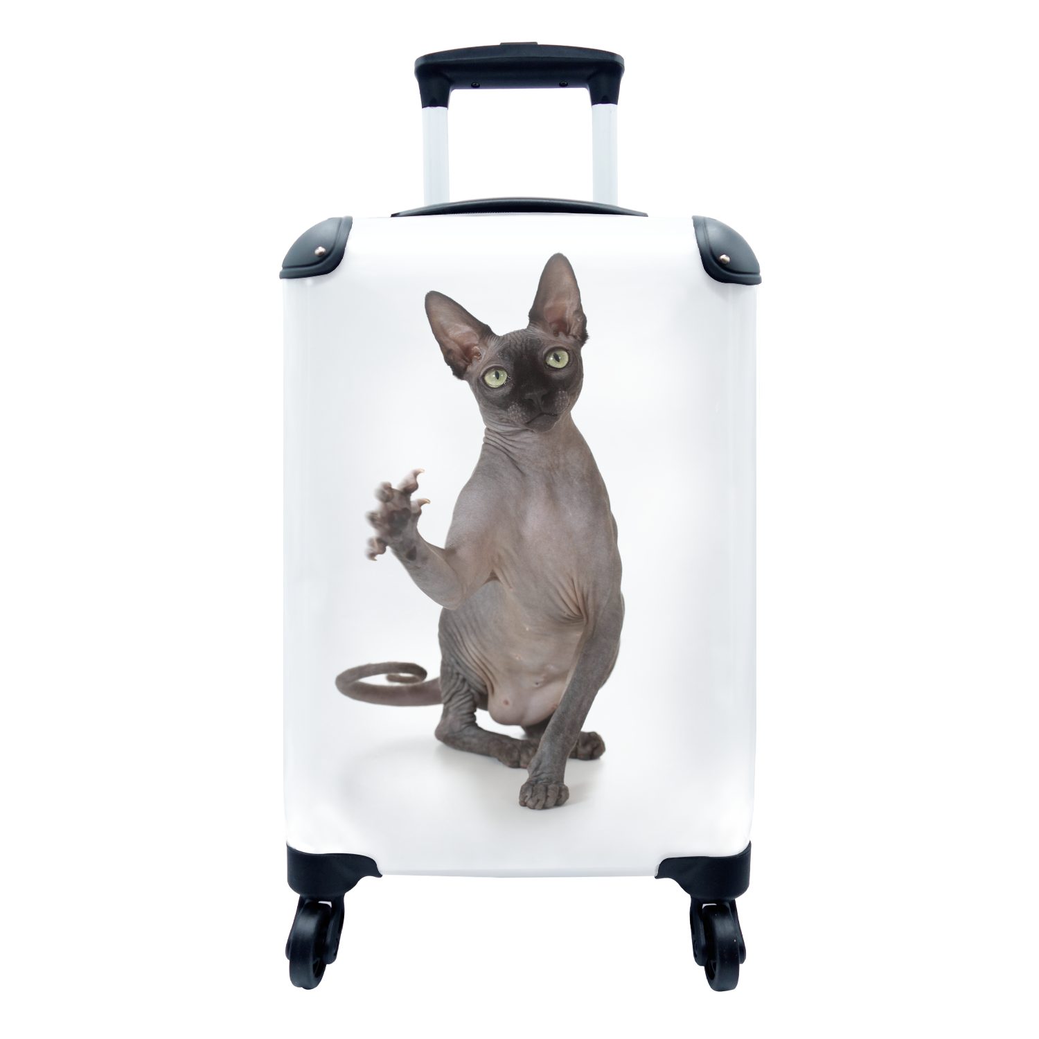 MuchoWow Handgepäckkoffer Eine kratzende Sphynx auf weißem Hintergrund, 4 Rollen, Reisetasche mit rollen, Handgepäck für Ferien, Trolley, Reisekoffer