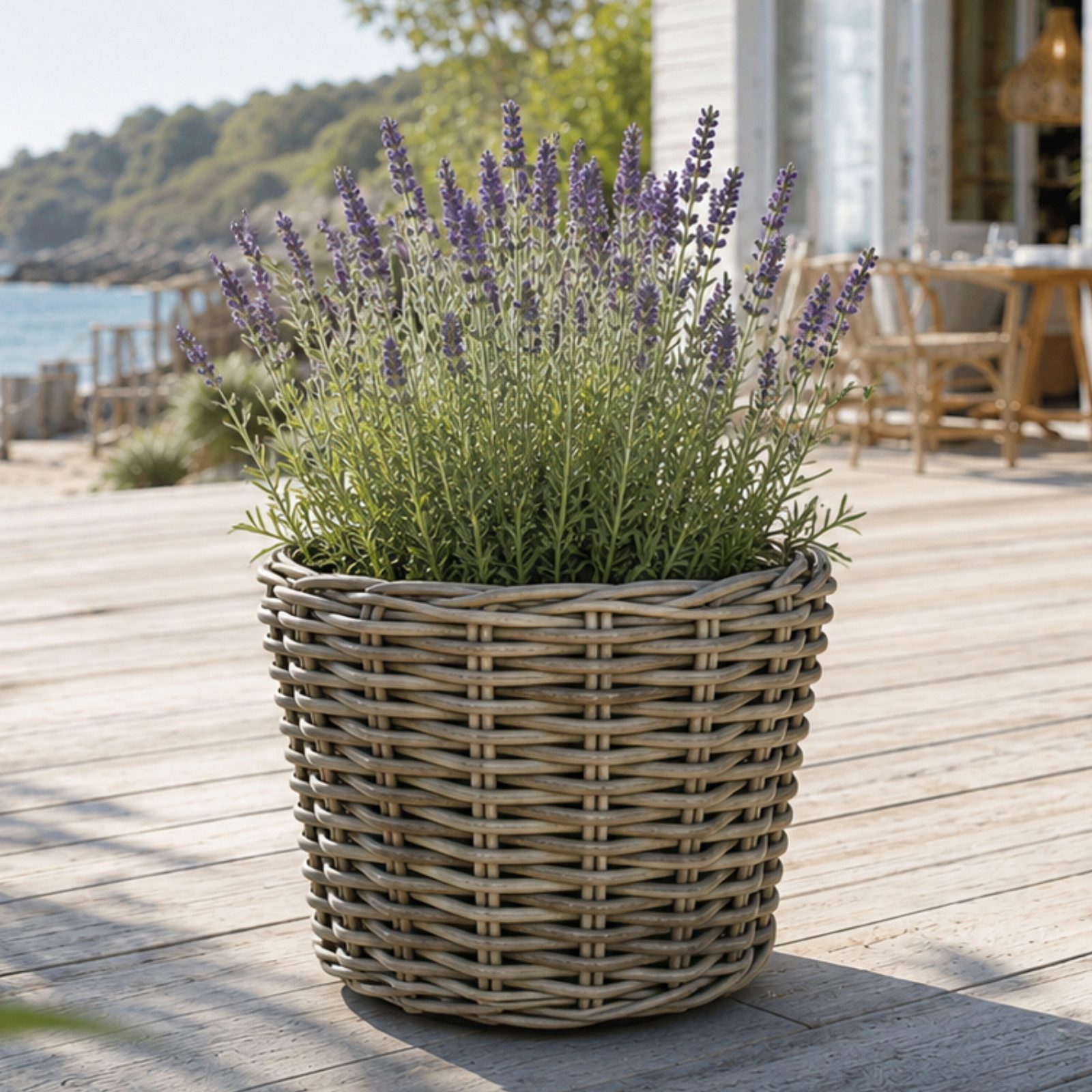 Van der Leeden Blumentopf 32x23cm Rattan Weide Sylter Korb Drypot 9L (1 St), Indoor & Outdoor, Rattan, 9 L, Naturprodukt, incl. Kunststoffeimer