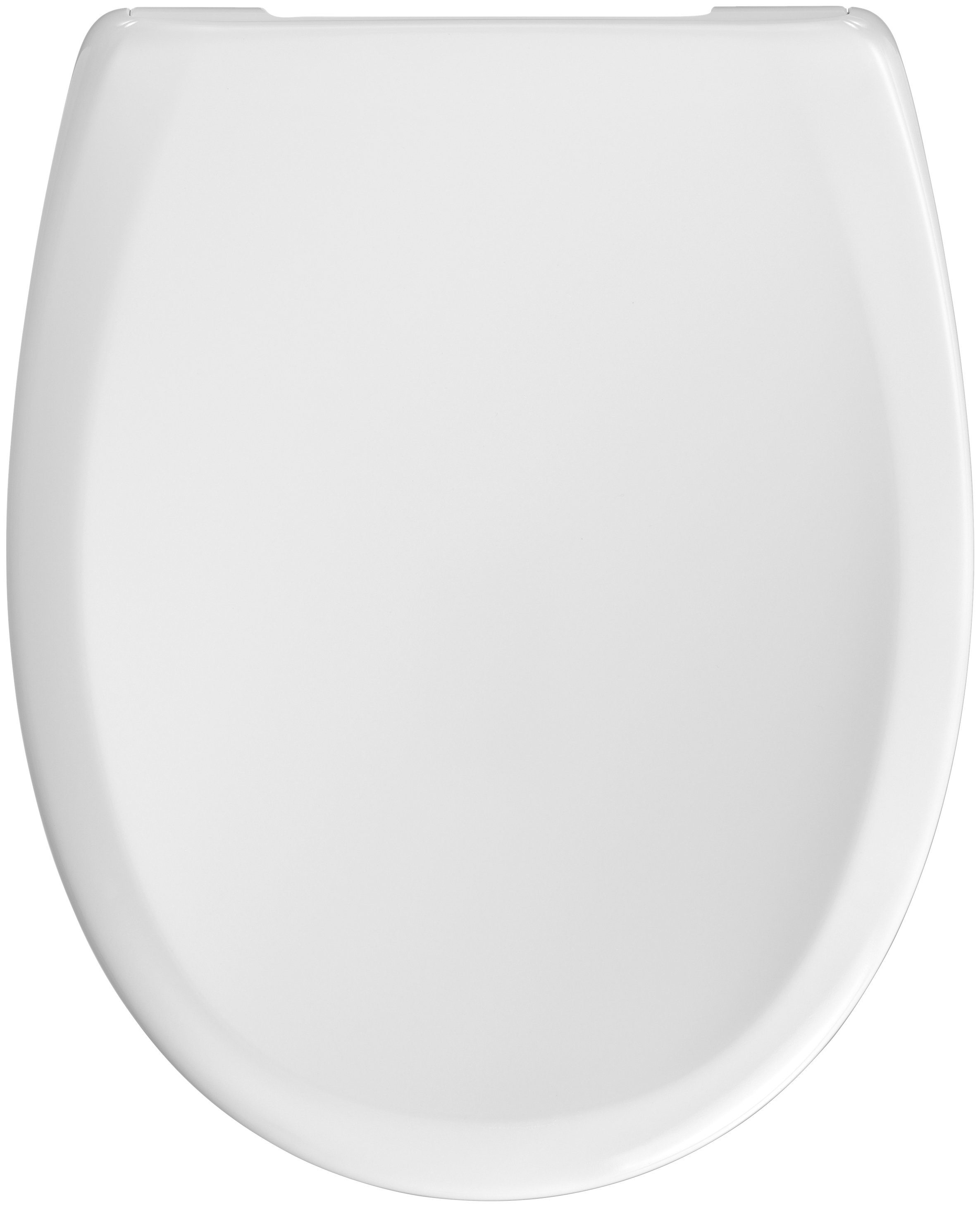 cedo wc