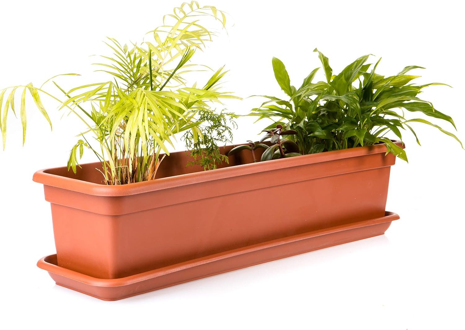 2friends Blumenkasten 6er Set, Balkonkästen mit Untersetzer aus Kunststoff (60T x 17B x 14H cm), Balkon Blumenkasten Terracotta