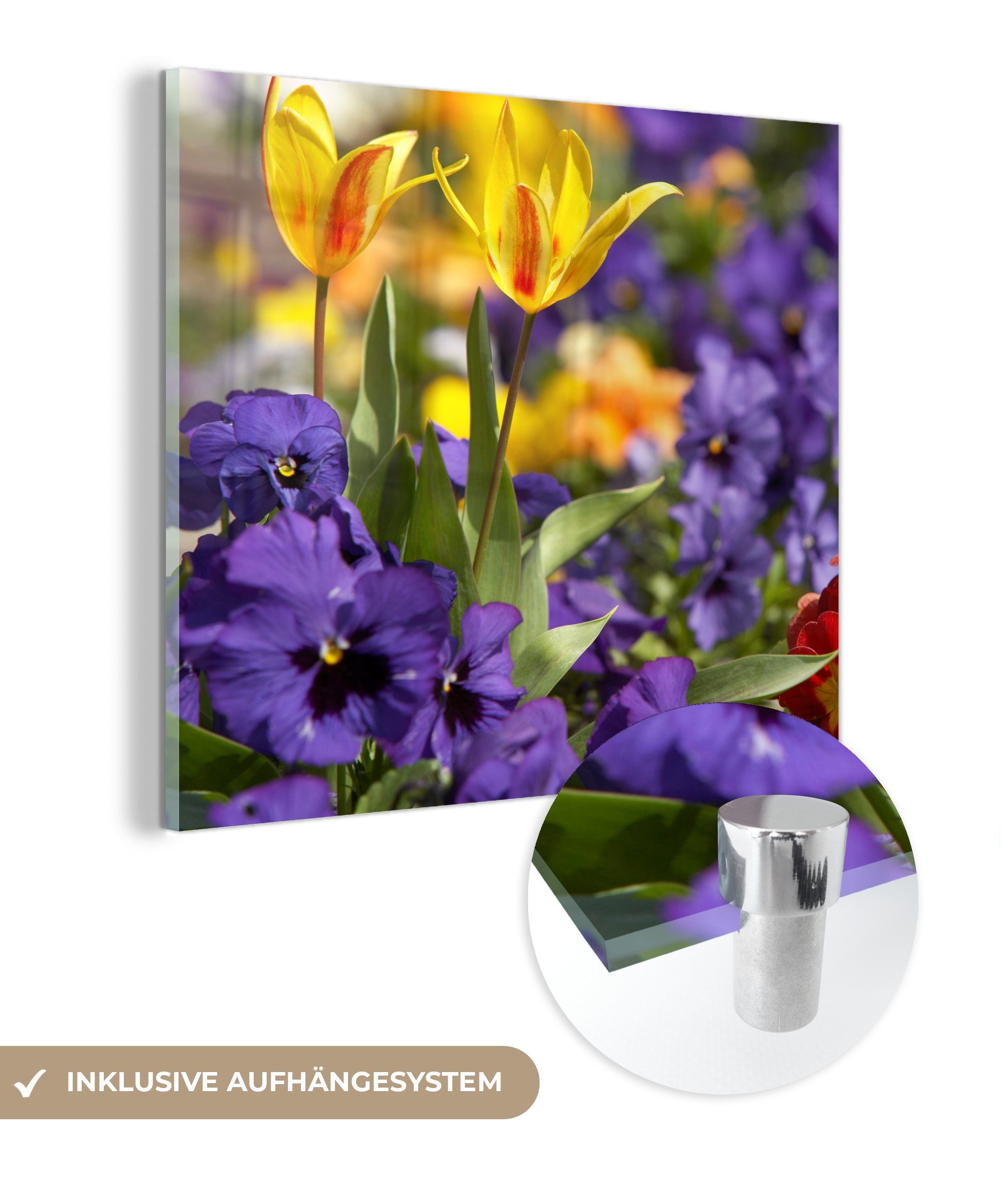 MuchoWow Acrylglasbild Frühling - Blumen - Farben, (1 St), Glasbilder - Bilder auf Glas Wandbild - Foto auf Glas - Wanddekoration
