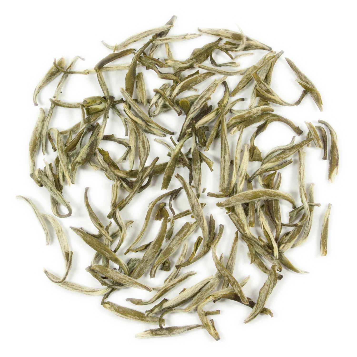 tea exclusive Tee Jasmine Silver Needle, Jasmintee, China, 50g, Ein besonders ausgewogener Jasmin Tee, lieblich-frisch, rein natürlich