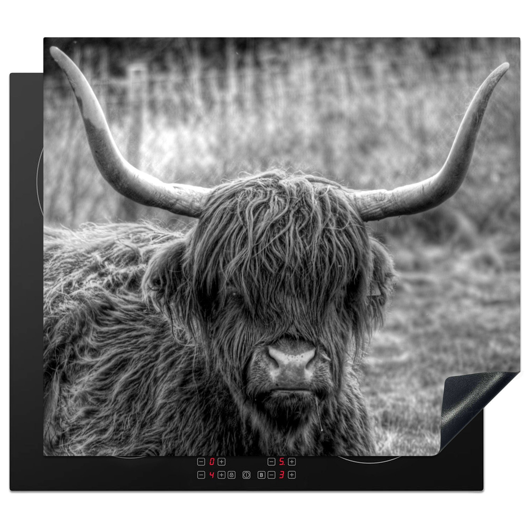 MuchoWow Herdblende-/Abdeckplatte Porträt eines schottischen Hochlandbewohners auf einer Wiese - schwarz, Vinyl, (1 tlg), 60x52 cm, Mobile Arbeitsfläche nutzbar, Ceranfeldabdeckung