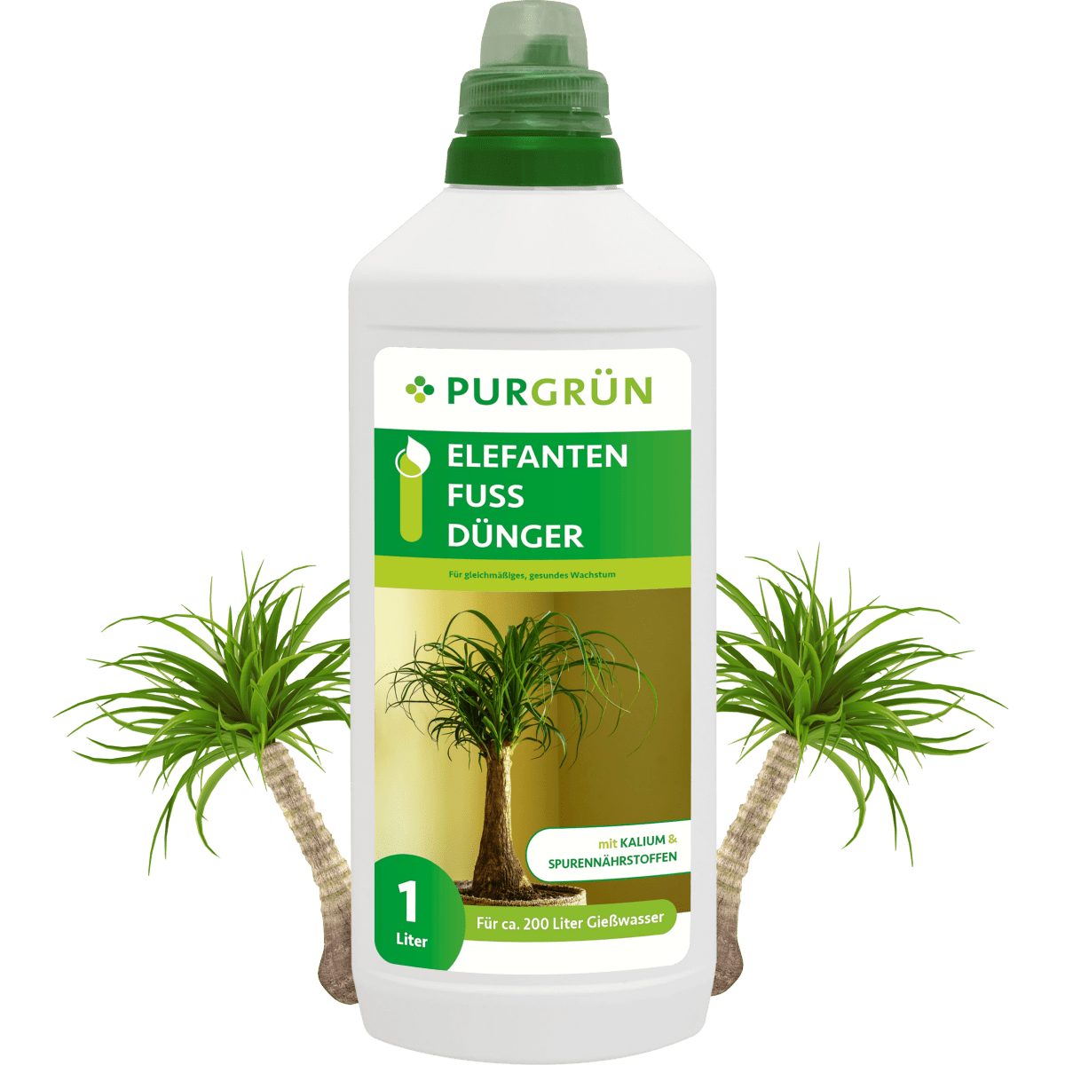 Purgrün Universaldünger Elefantenfuß Dünger, NPK 10+4+6, stärkt Widerstands günstig online kaufen