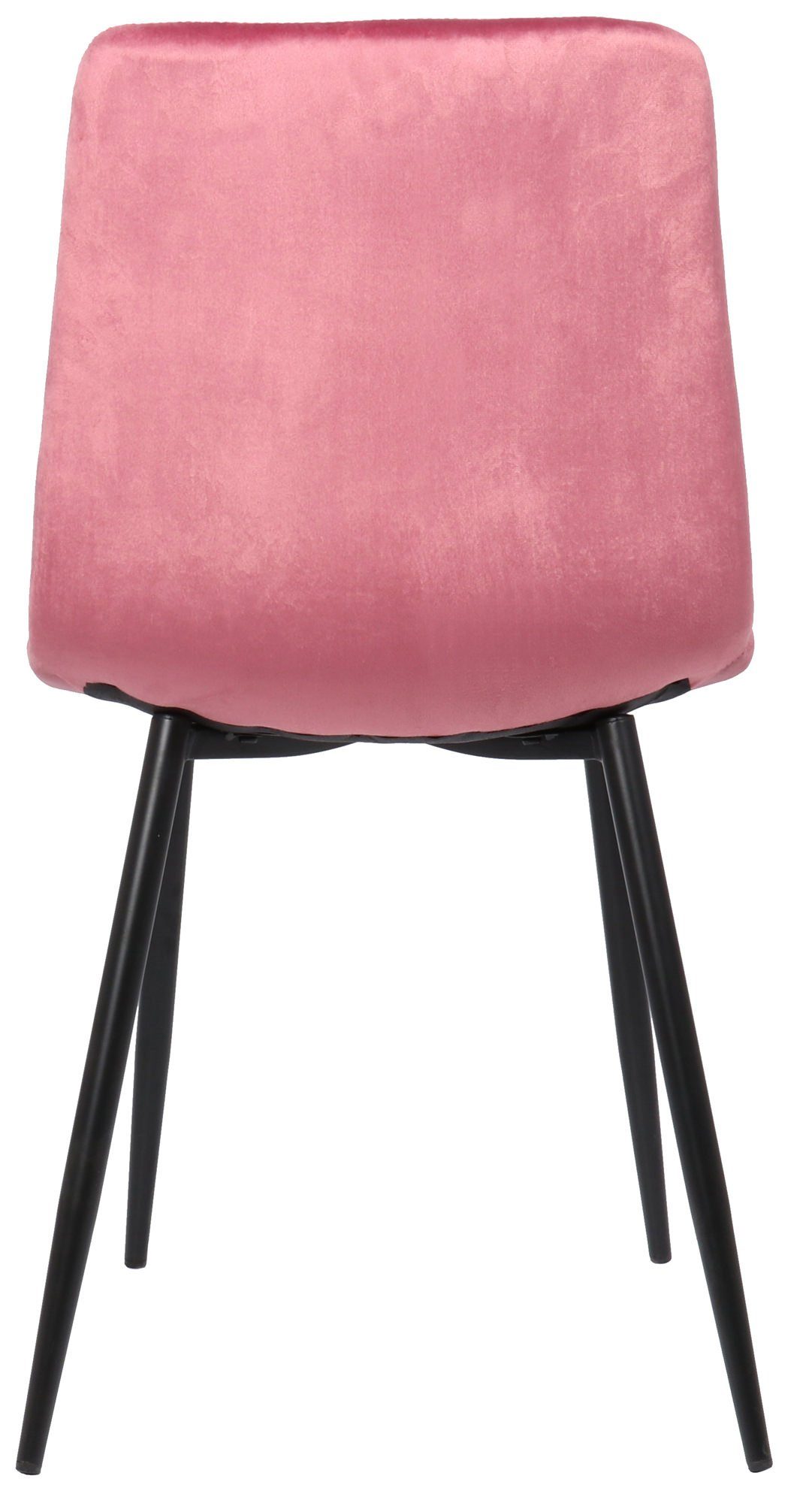 hochwertig - Polsterstuhl), Sitzfläche TPFLiving pink - mit Konferenzstuhl Esszimmerstuhl Sitzfläche: (Küchenstuhl - - Till Esstischstuhl - Samt Metall Gestell: gepolsterter schwarz Wohnzimmerstuhl