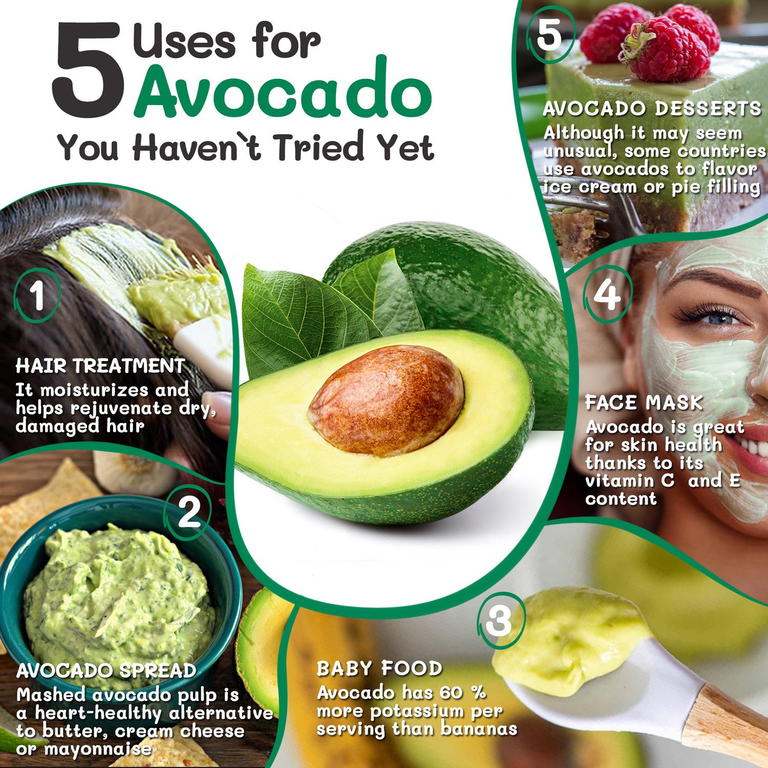 Ekarian Anzuchtdeckel Avocadobaum Tool zum selber Pflanzen und Züchten, Geschenke für Frauen (2 St), rund – Bild 3 von 5