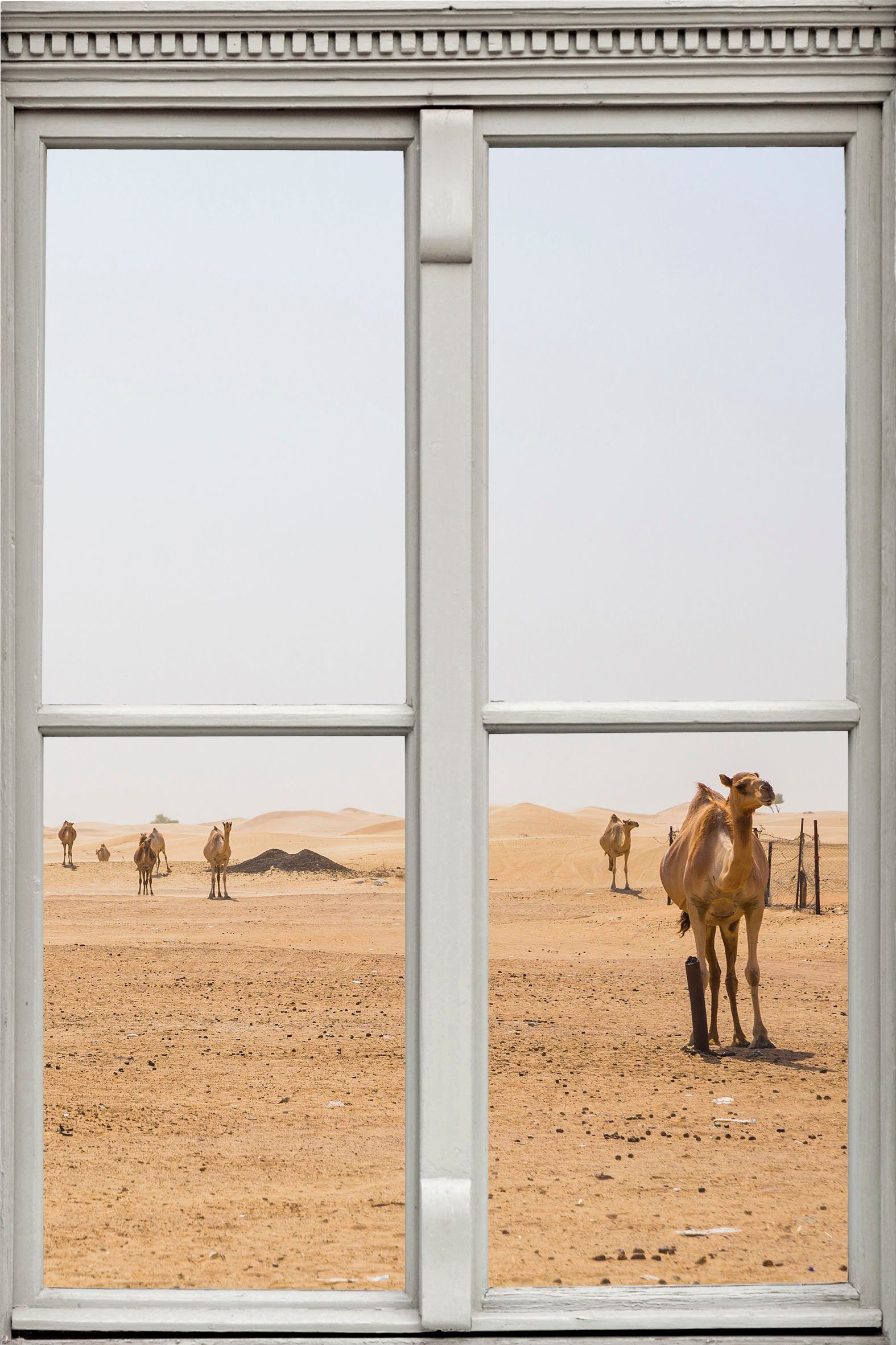 Wandsticker queence mit Kamelen Wüste