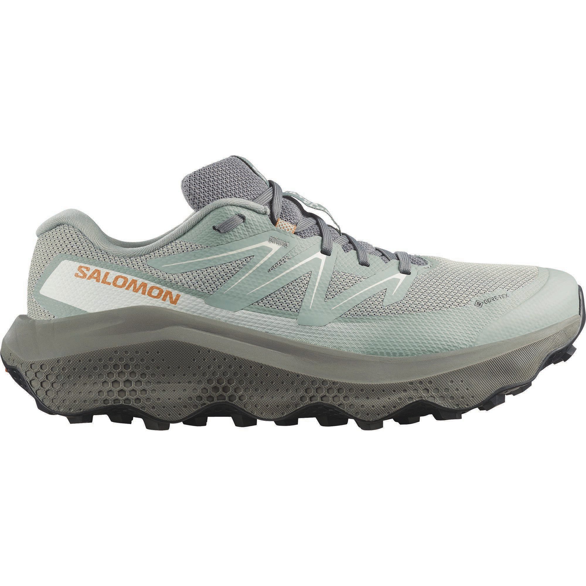 Salomon ULTRA FLOW 2 GTX Trailrunningschuh wasserdicht