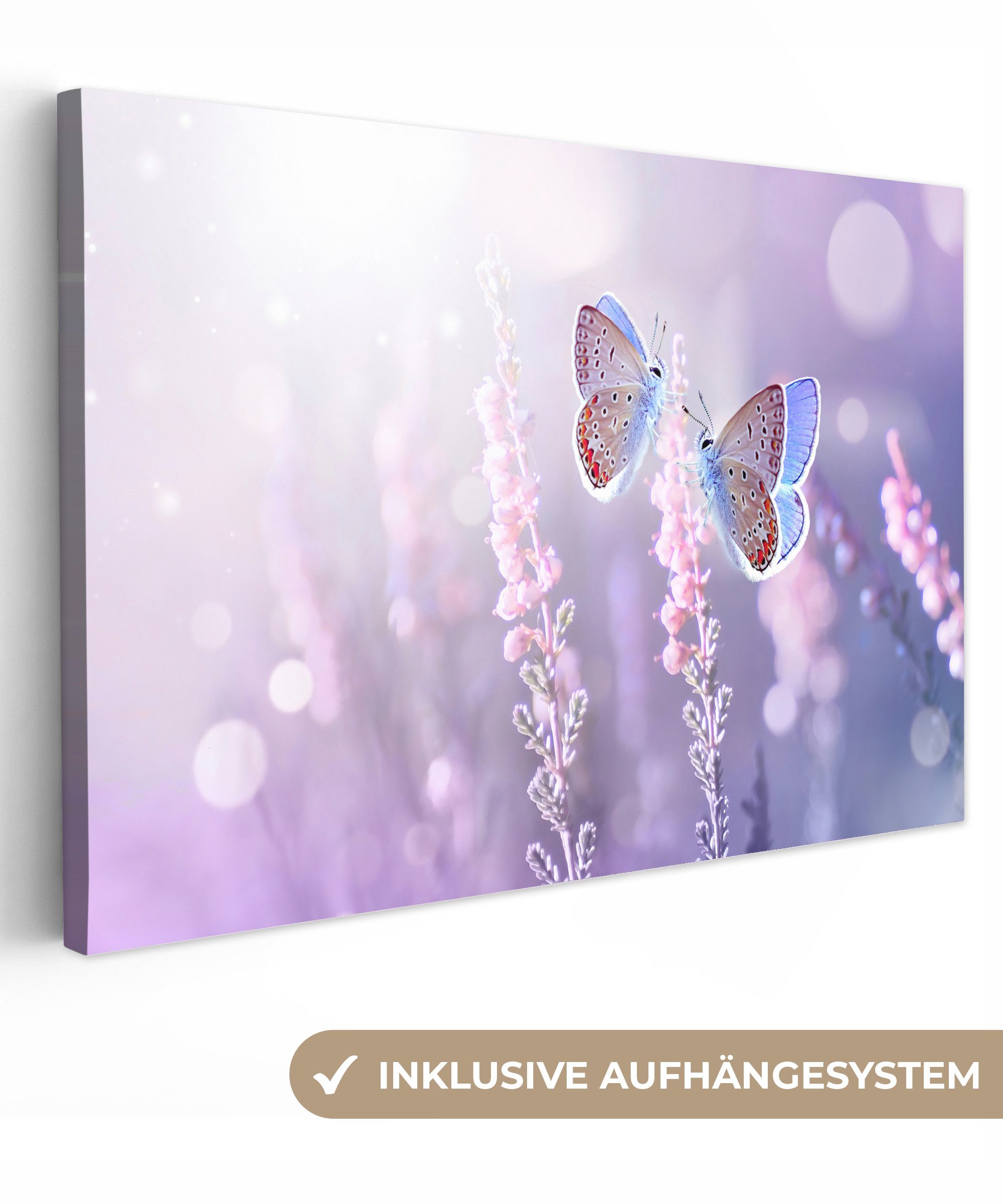 OneMillionCanvasses® Leinwandbild Schmetterling - Lavendel - Blumen - Lila, Fotodruck (1 St), Leinwand Bilder Klein, Wand Dekoration Aesthetic 30x20 cm