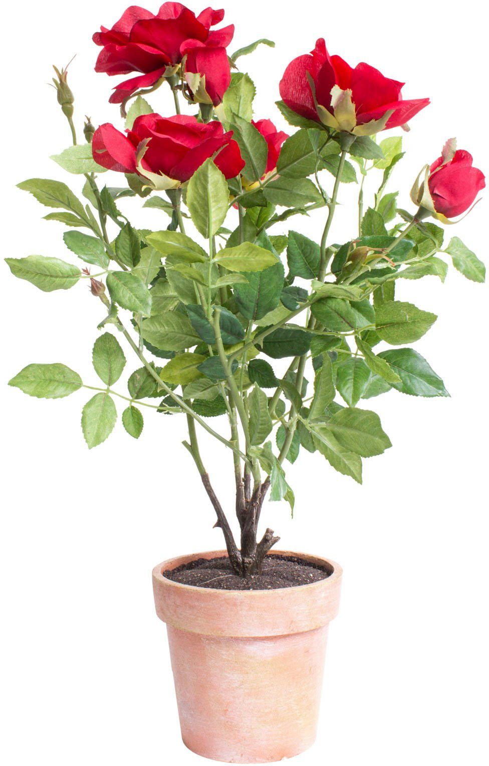 Kunstblume Rosenstock Kunstpflanze Höhe Rose, Botanic-Haus, 46 cm, Naturgetreue