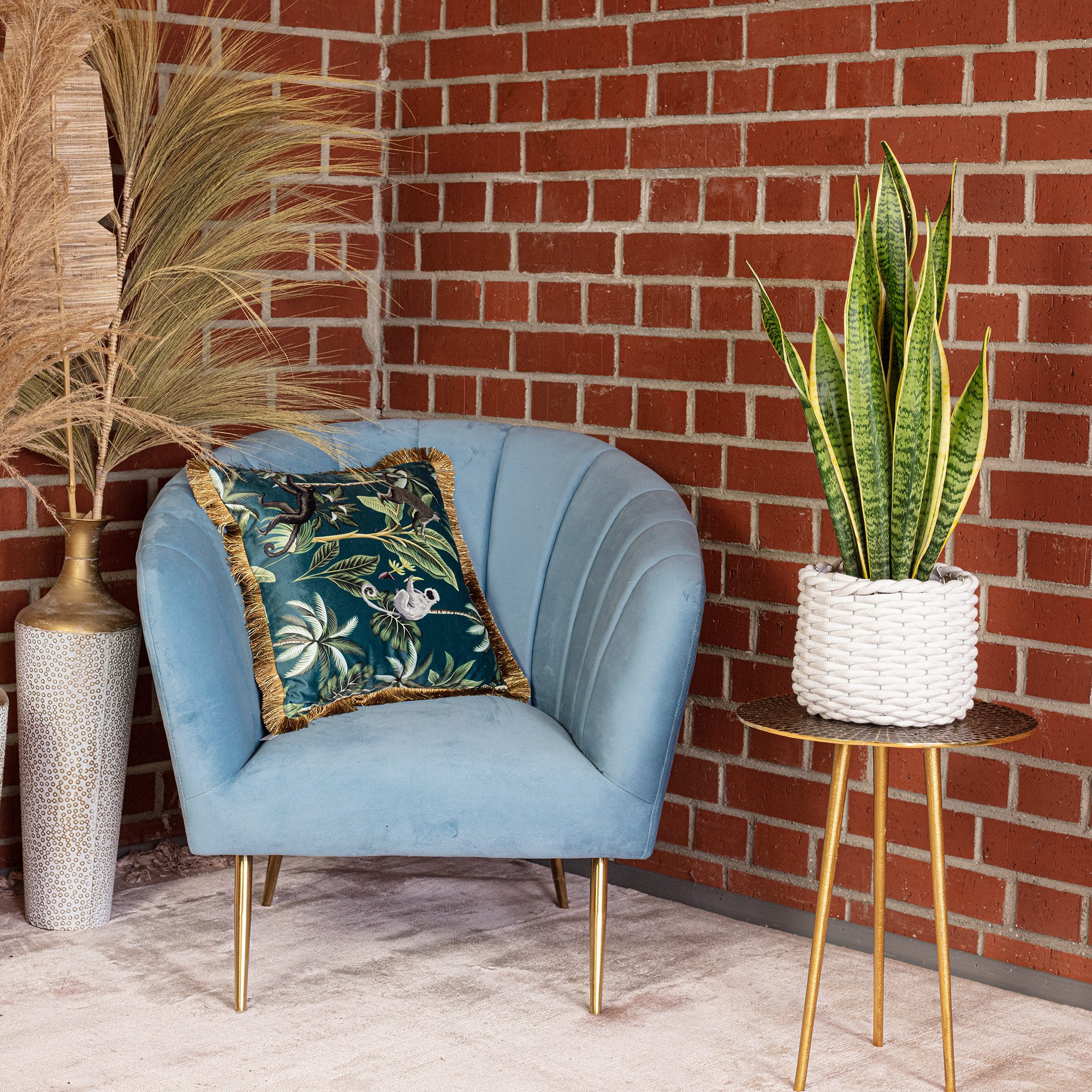 Flowerbox Zimmerpflanze Bogenhanf - Sansevieria trifasciata Laurentii, pflegeleicht - Höhe ca. 45 cm, Topf-Ø 14 cm