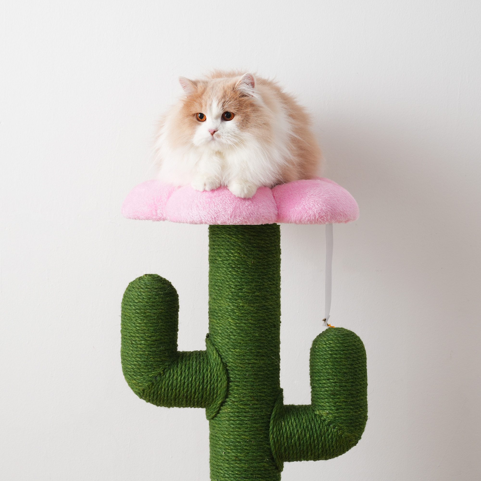 Odikalo Kratzbaum Katzenkratzsäule grün-Design Kratzbaum, Kratzbaum in Kaktusform mit verdickten Sisalstämmen und Kippschutz