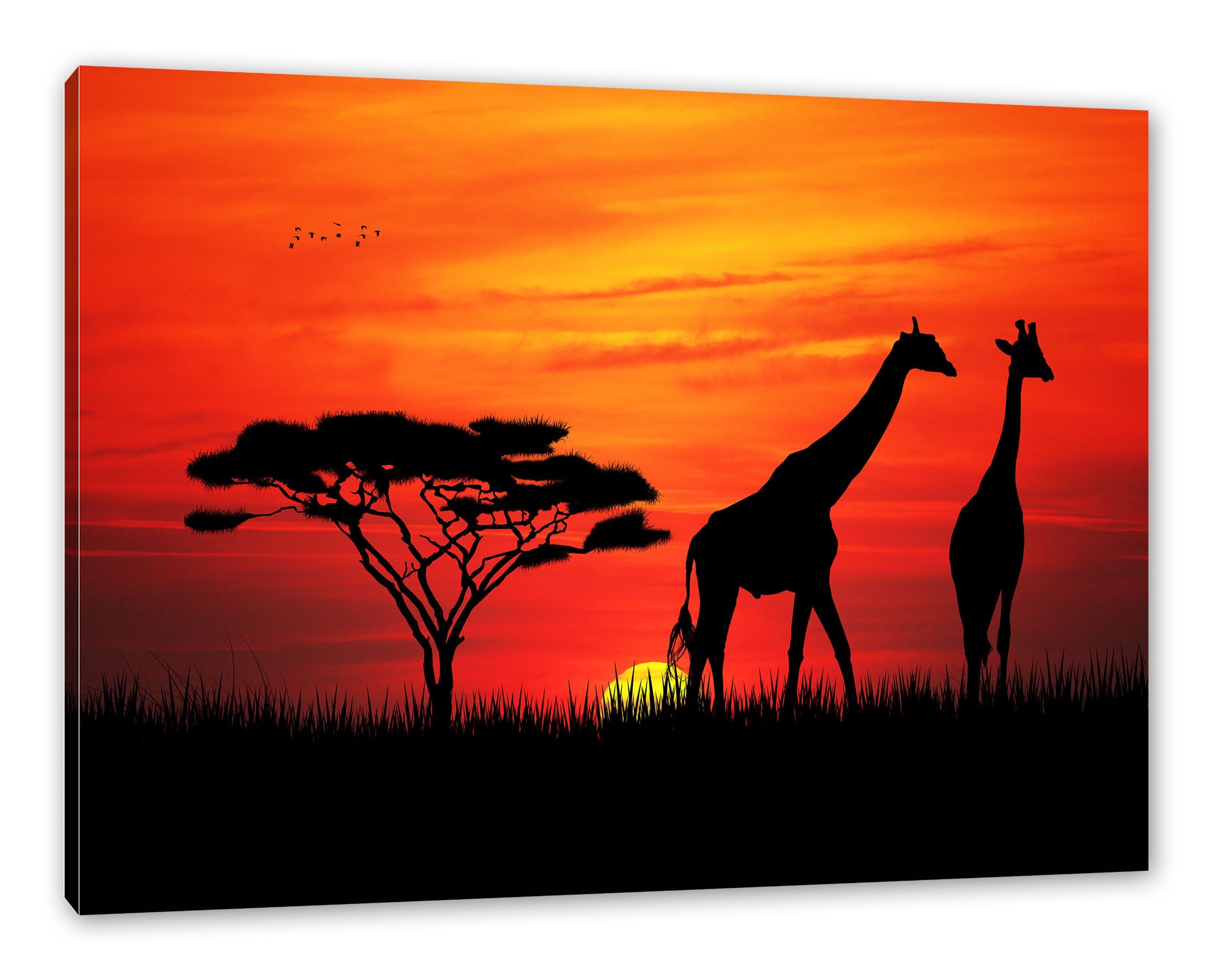 Pixxprint Leinwandbild Afrika Giraffen im Sonnenuntergang, günstig online kaufen