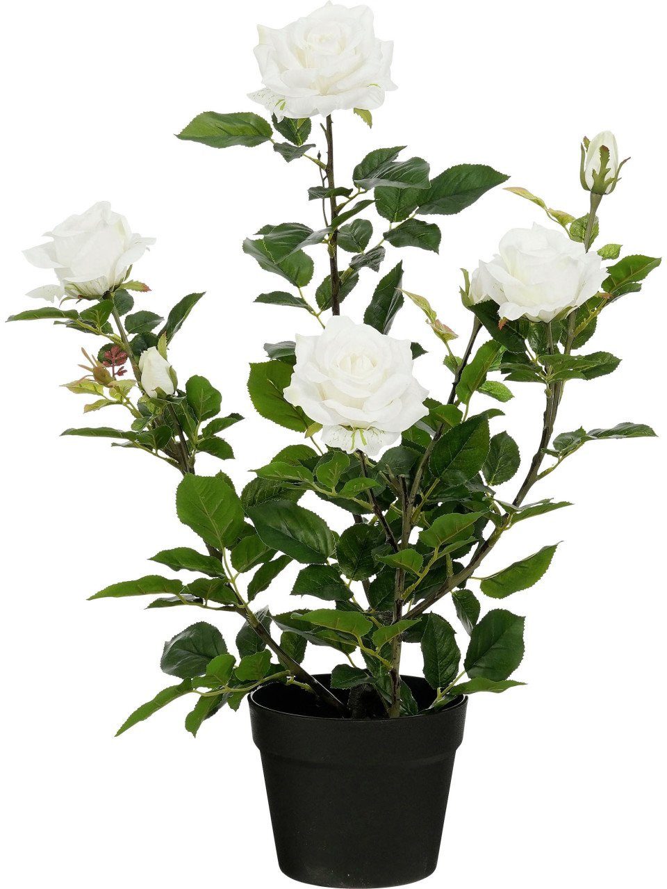 Kunstpflanze Mica Decorations Kunstpflanze Rose im Topf creme Ø, Mica Decorations