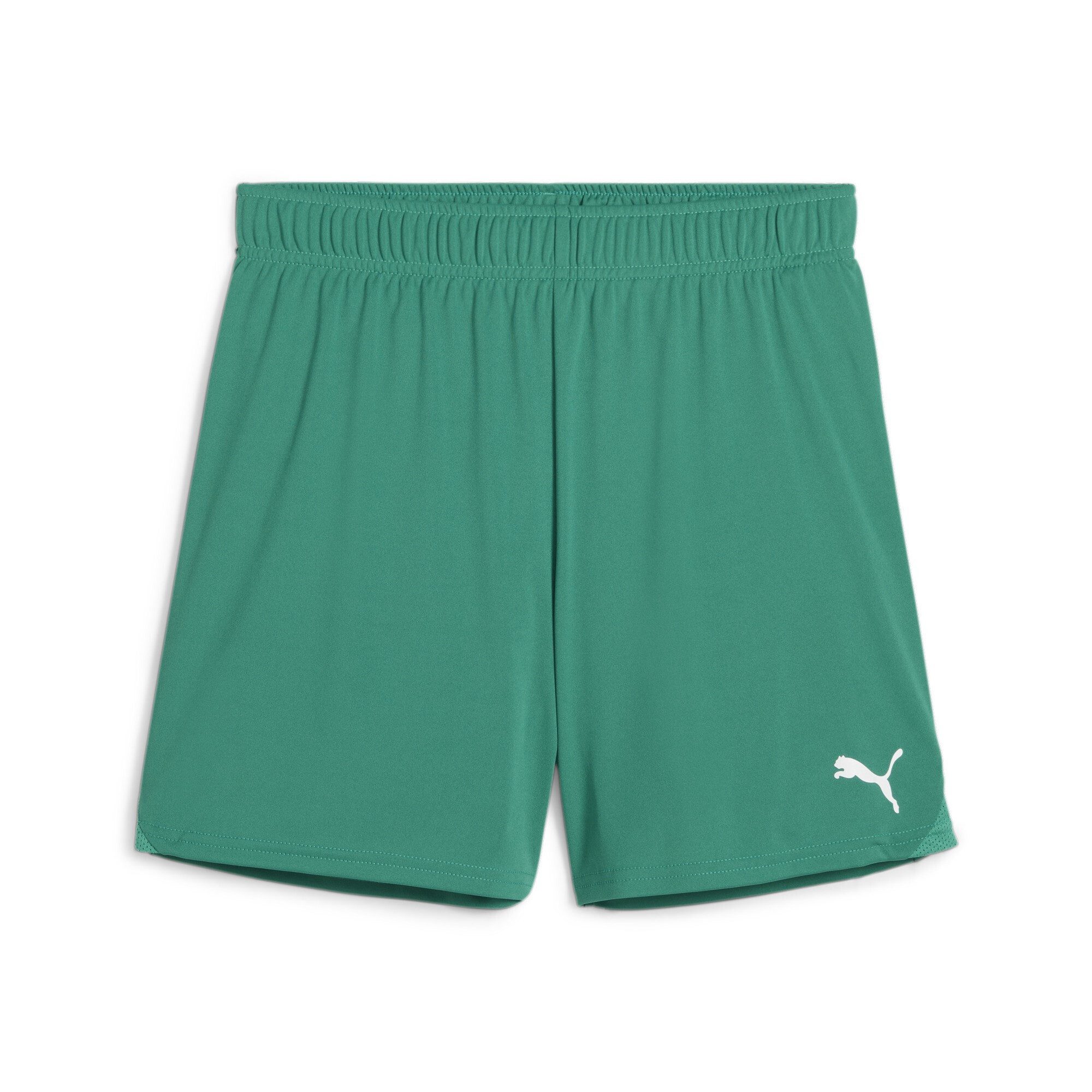 PUMA Trainingsshorts Puma Damen Short teamGOAL Shorts Wmns 705754