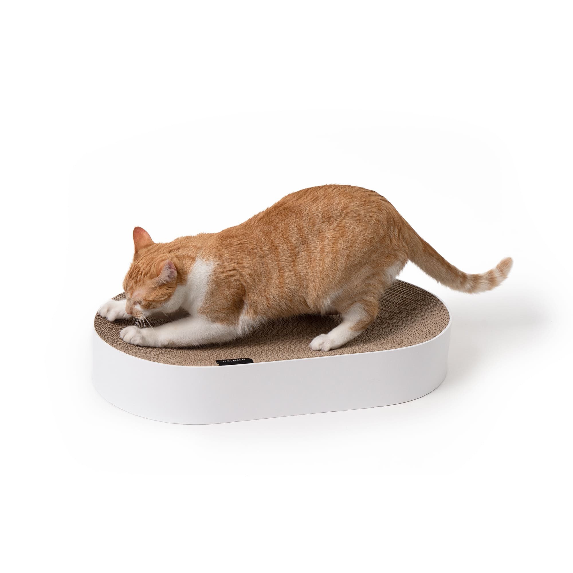 LucyBalu Kratzbrett SCRATCHBED Katzen Kartonbett, XXL günstig online kaufen
