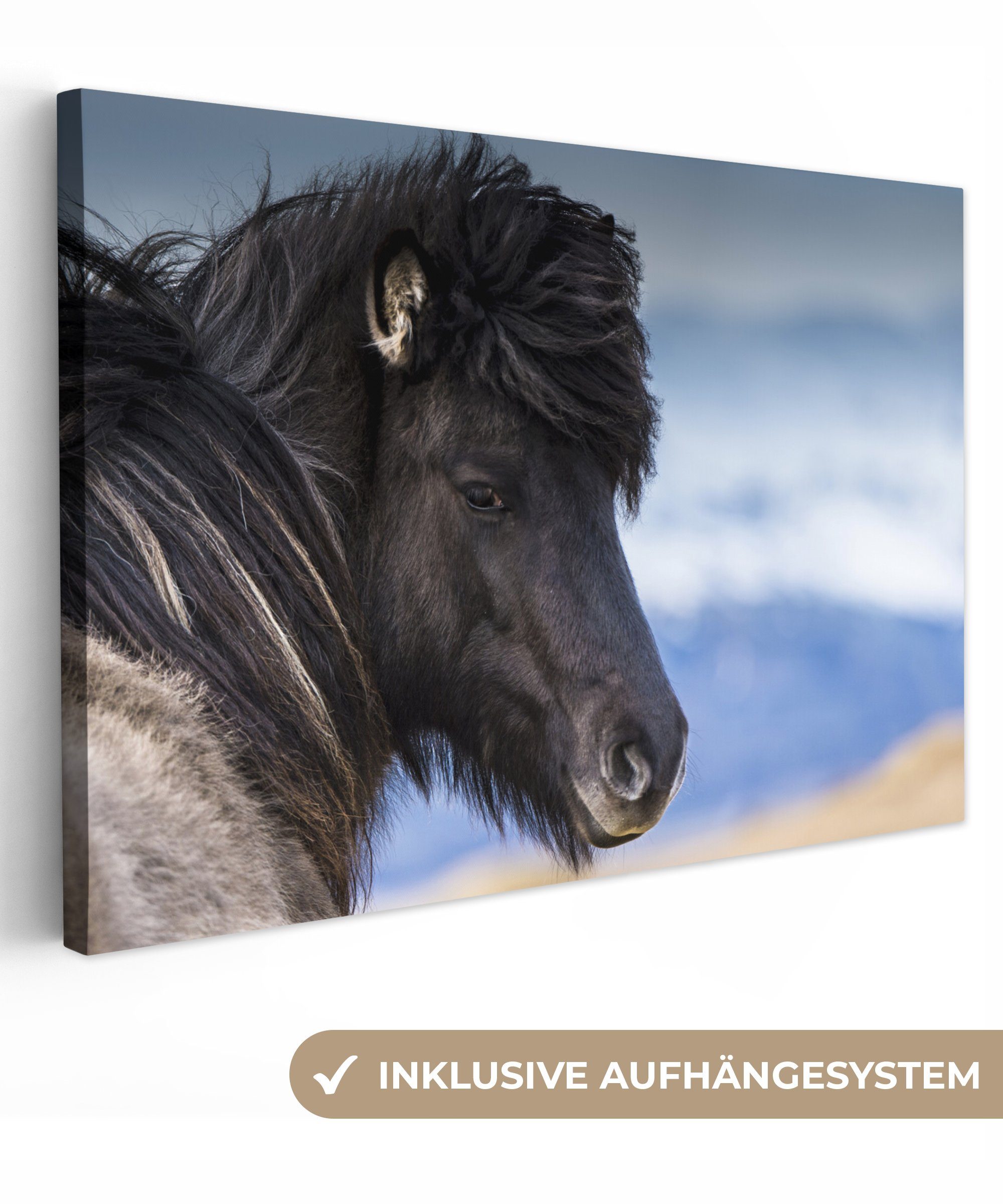 OneMillionCanvasses® Leinwandbild Isländische Ponys, (1 St), Wandbild Leinwandbilder, Aufhängefertig, Wanddeko, 30x20 cm | Leinwandbilder