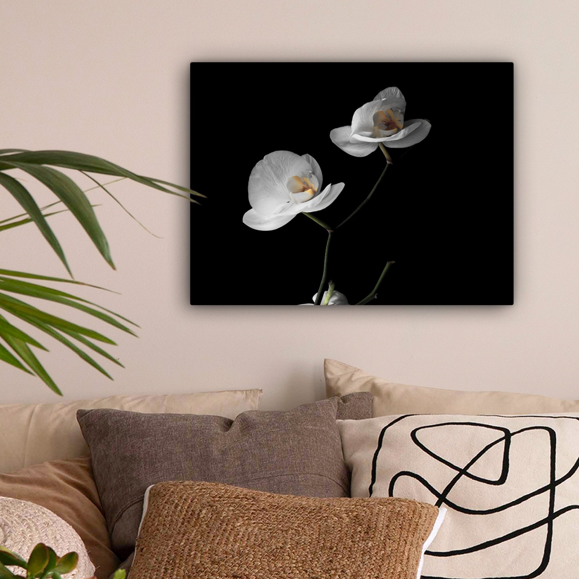 OneMillionCanvasses® Leinwandbild Orchidee - Blumen - Schwarz - Weiß - Stilleben, Fotodruck (1 St), Wandbild Leinwandbilder, Aufhängefertig, Wanddeko 40x30 cm
