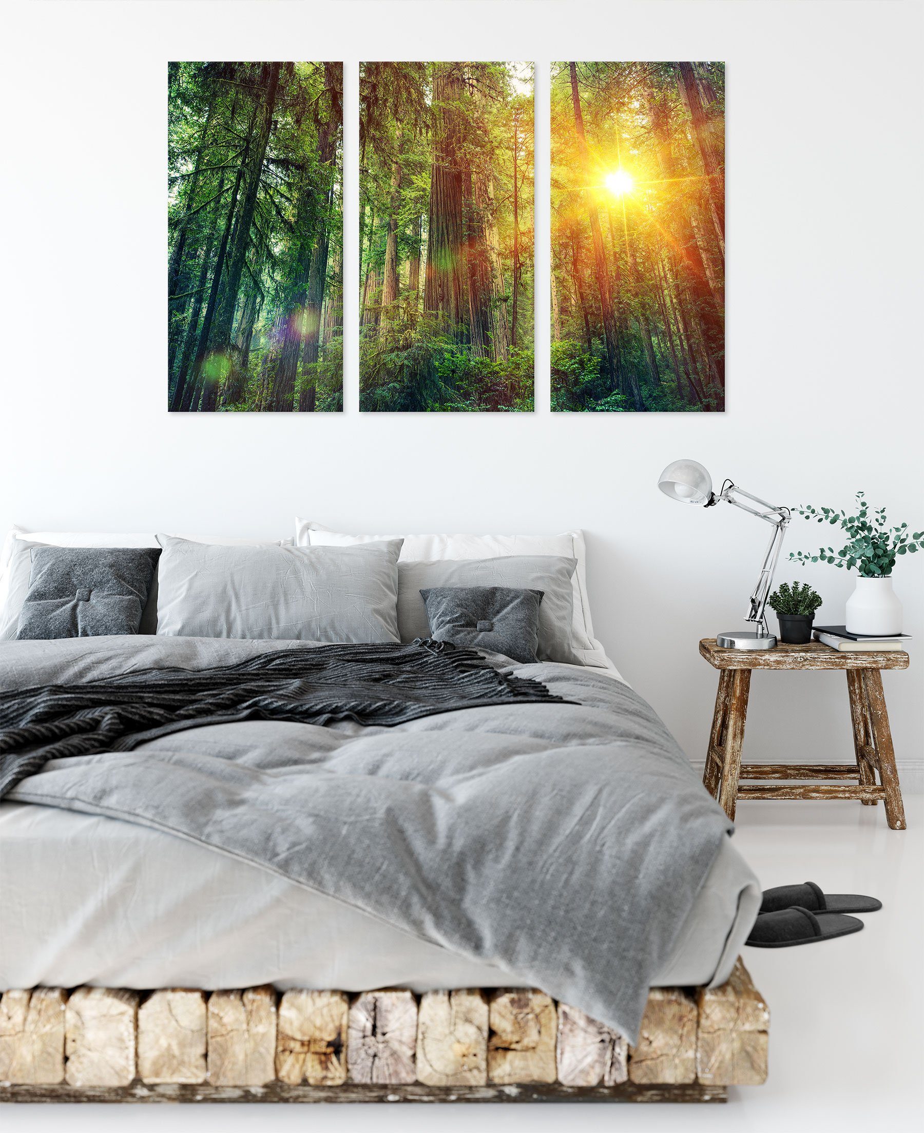 3Teiler bei inkl. bei fertig Wald (120x80cm) Leinwandbild St), bespannt, Wald Sonnenlicht Sonnenlicht, Pixxprint Zackenaufhänger (1 Leinwandbild