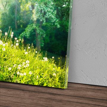 Sinus Art Leinwandbild 120x80cm Wandbild auf Leinwand Grüne Wiese am Waldrand Natur Pusteblum, (1 St)