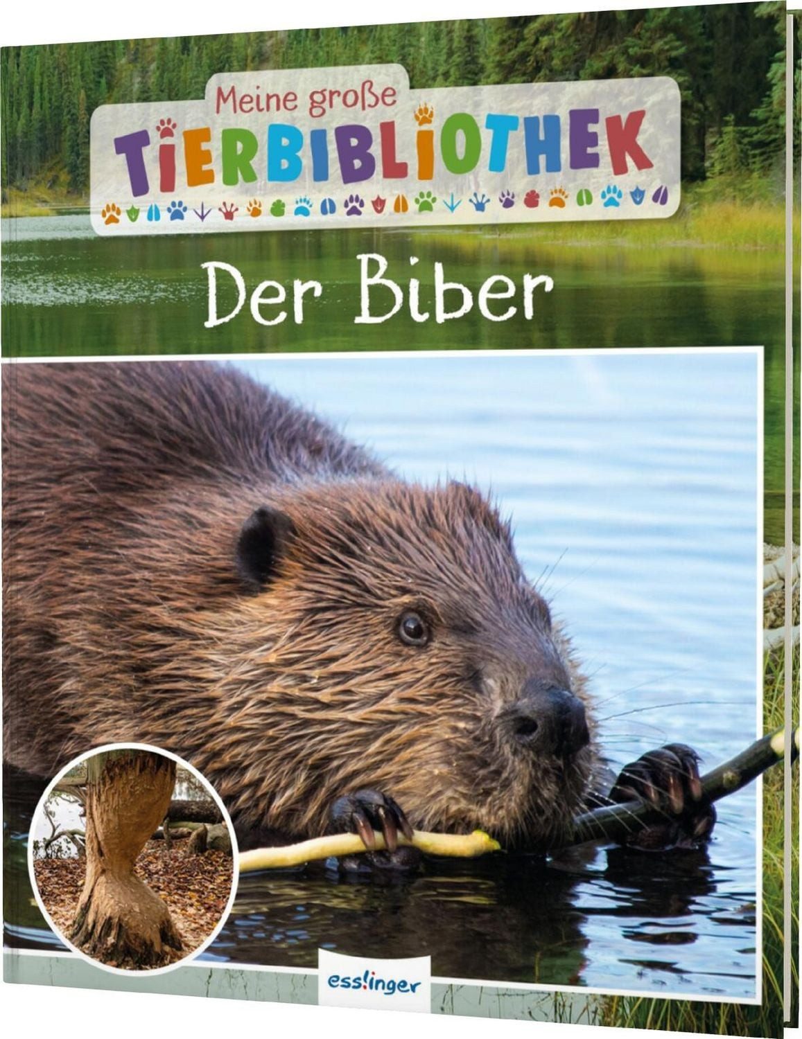 Meine große Tierbibliothek: Der Biber / Axel Gutjahr