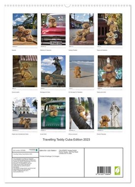 CALVENDO Wandkalender Travelling Teddy Cuba Edition 2023 (Premium-Calendar 2023 DIN A2 Portrait)