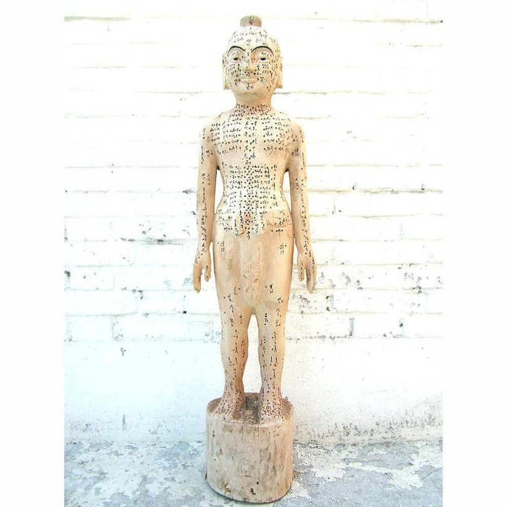 Luxury-Park-Direct Kommode China 1930 Akupunktur Lehrmodell Skulptur Statue Heilkunde von Luxury-