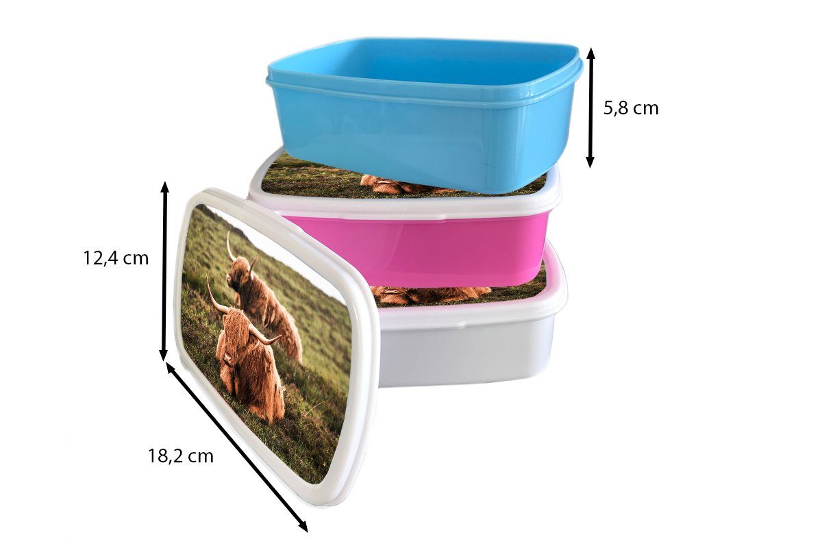MuchoWow Brotdose, Sonne, Kunststoff, und - (2-tlg), Erwachsene, Lunchbox für Mädchen für weiß Brotbox Kinder - und Gras Kühe Jungs