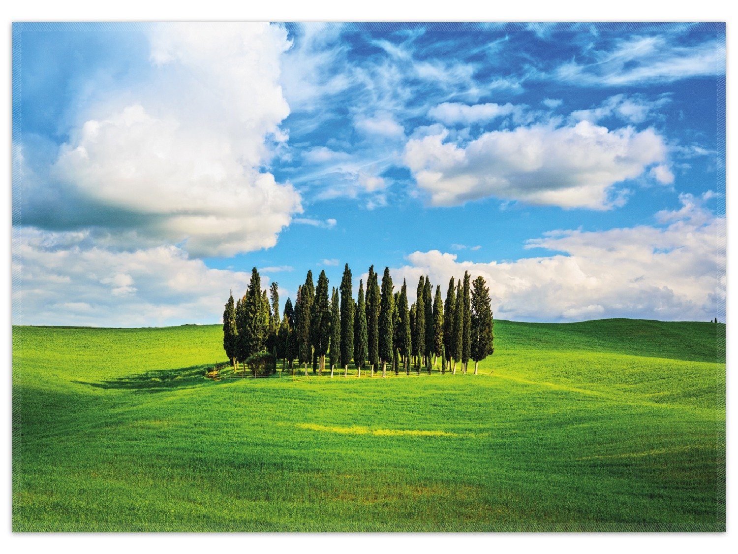 Wallario Teppich Kleiner Wald inmitten einer weiten Wiese, rechteckig, rutschfest