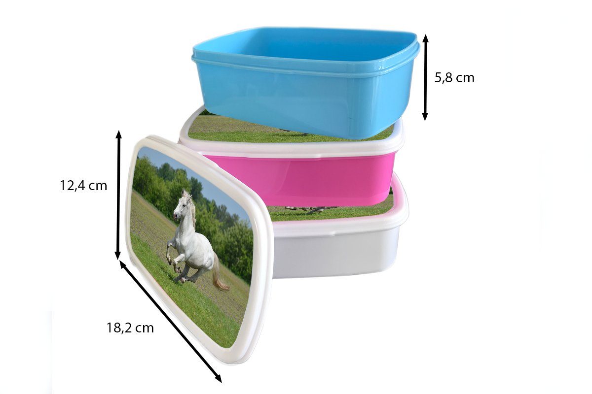 Natur Snackbox, rosa Lunchbox MuchoWow für - Kunststoff (2-tlg), Mädchen, Kunststoff, Erwachsene, Pferde - Kinder, Brotdose Weiß, Brotbox