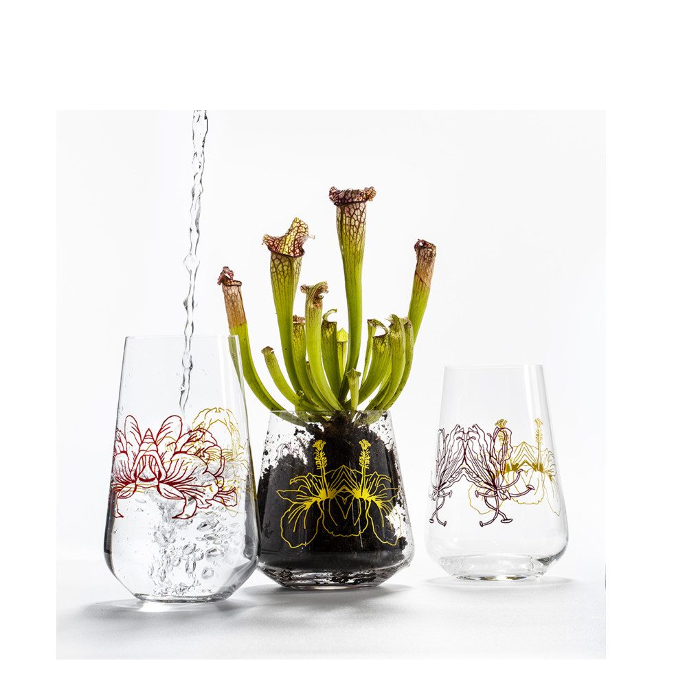 Crystalex Longdrinkglas Adele Longdrinks 380 ml 6er Set, 6-tlg., Kristallglas, Kristallglas, schwarz-gold, lila-gold, rot-gold, Blumenmotiv