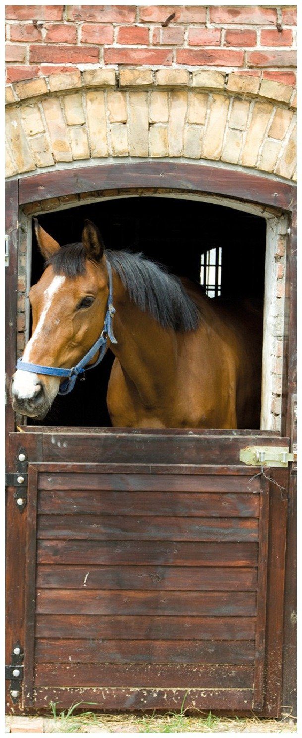 Wallario Memoboard Pferd im Stall