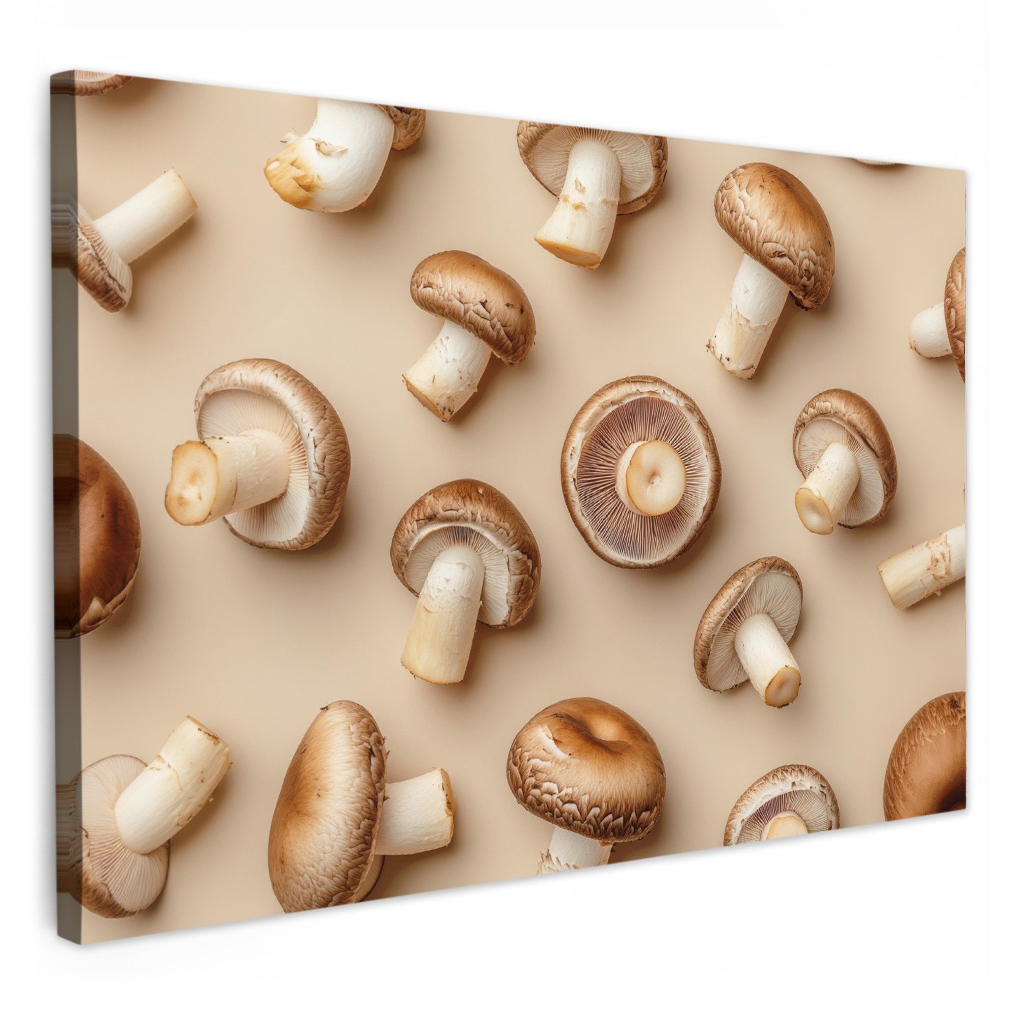 OneMillionCanvasses® Leinwandbild Kastanienpilze - Beige - günstig online kaufen