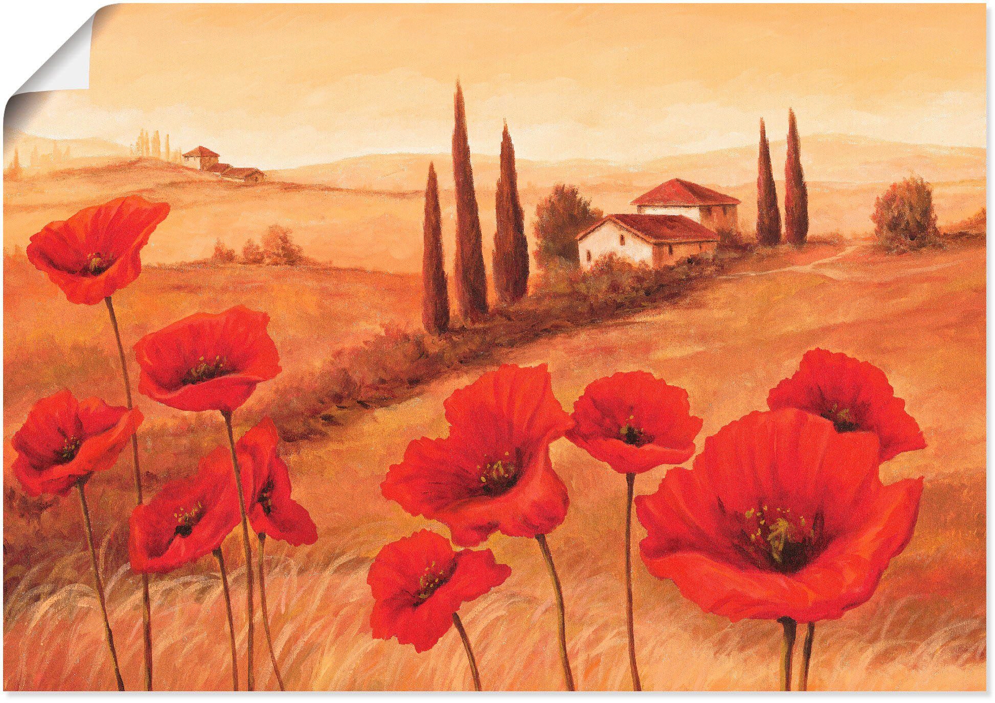 Wandbild Mohnblumen St), oder Artland Leinwandbild, Größen der in (1 Toskana, Alubild, als in Wandaufkleber Europa versch. Poster