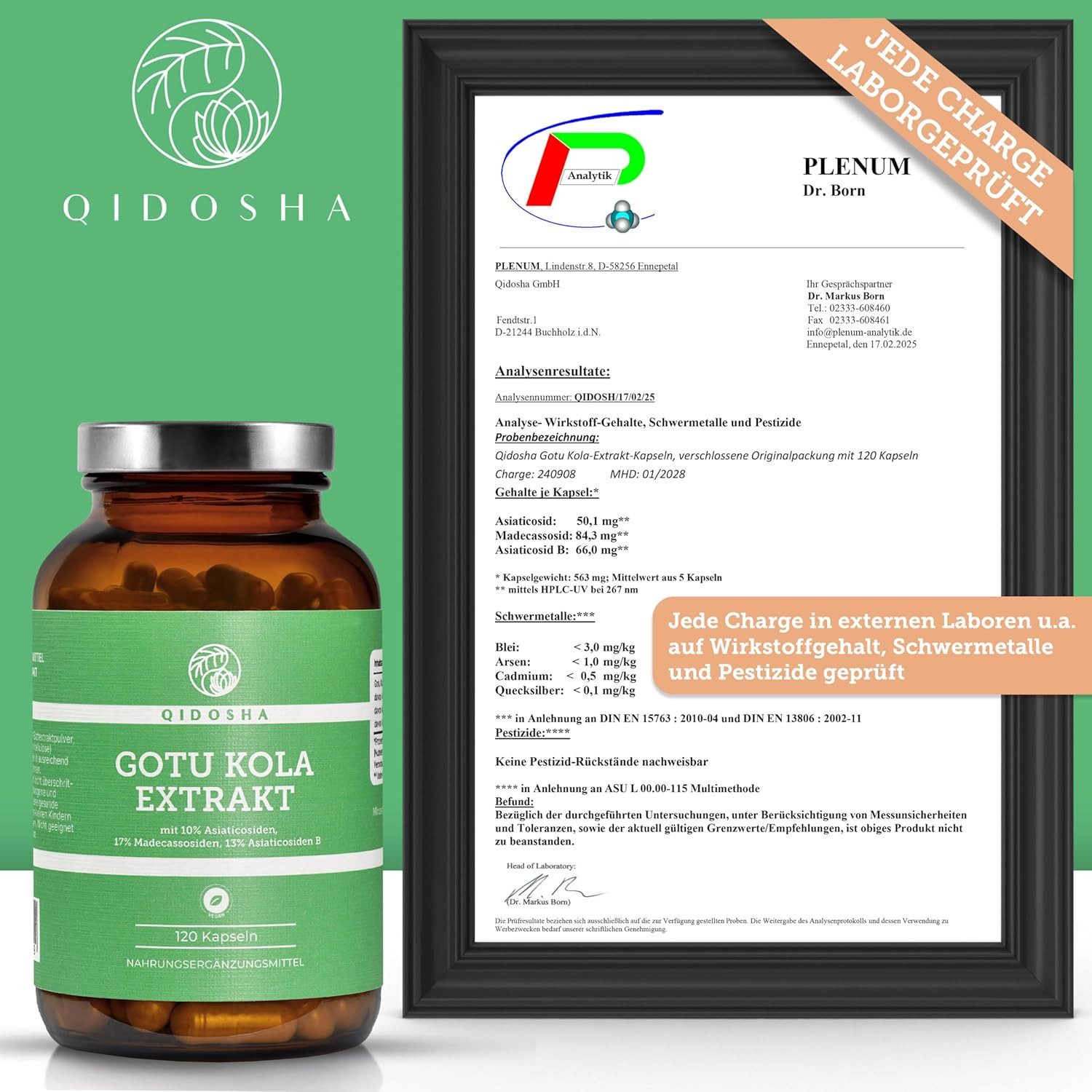 QIDOSHA Gotu Kola Extrakt (Indischer Wassernabel) mit 10% Asiaticosiden Kapseln, 120 er 60:1 Extrakt, höchster Wirkstoffgehalt mit 10% Asiaticoside, 17% Madecassoside, 13% Asiaticoside B, 120 Kapseln im Apothekerglas, Indischer Wassernabel, Tigergras à 120 St., 66 g