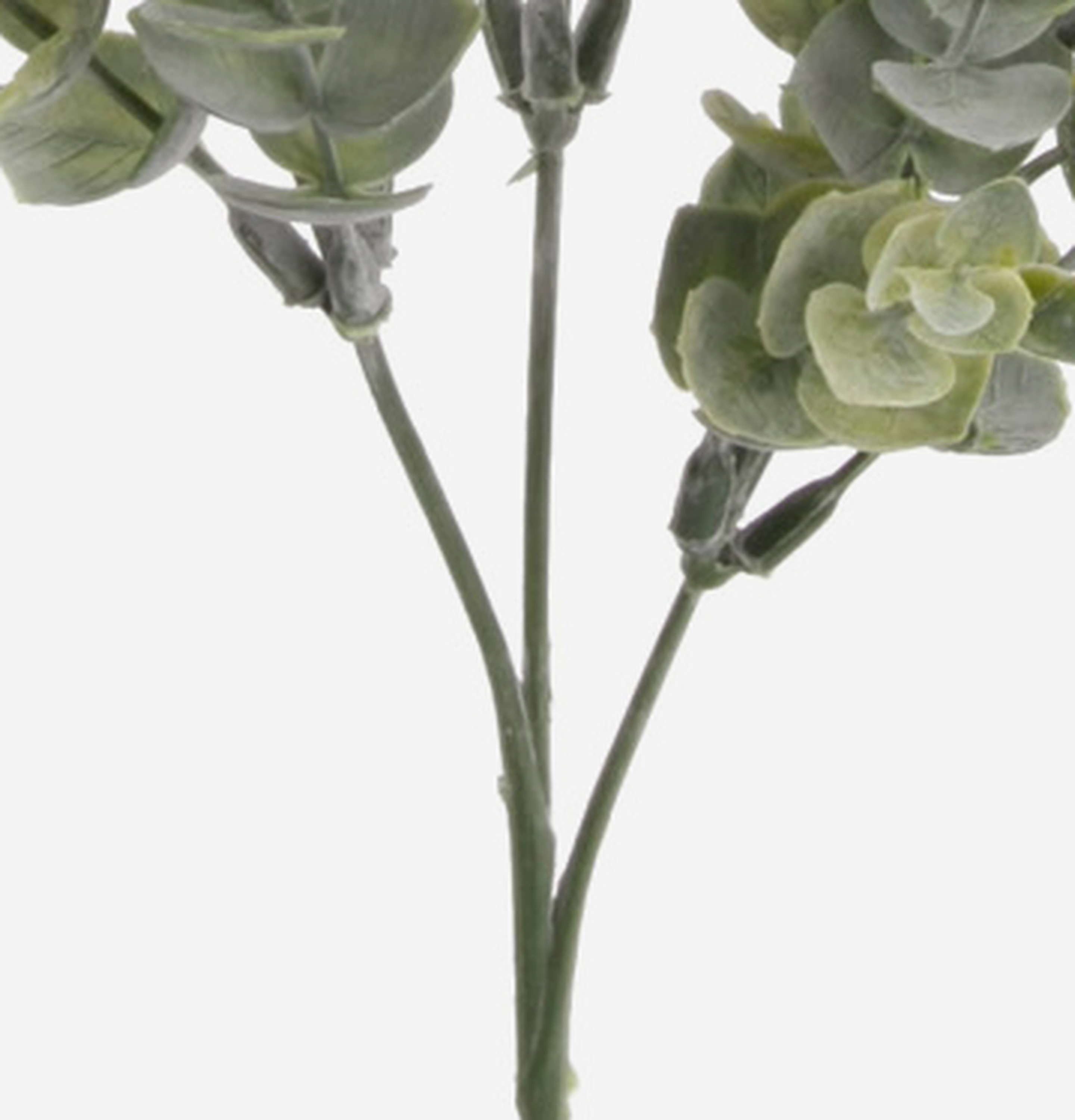 Kunstzweig Eukalyptus Zweig Noelia, grün, 70cm Eukalyptus, artplants – Bild 3 von 4