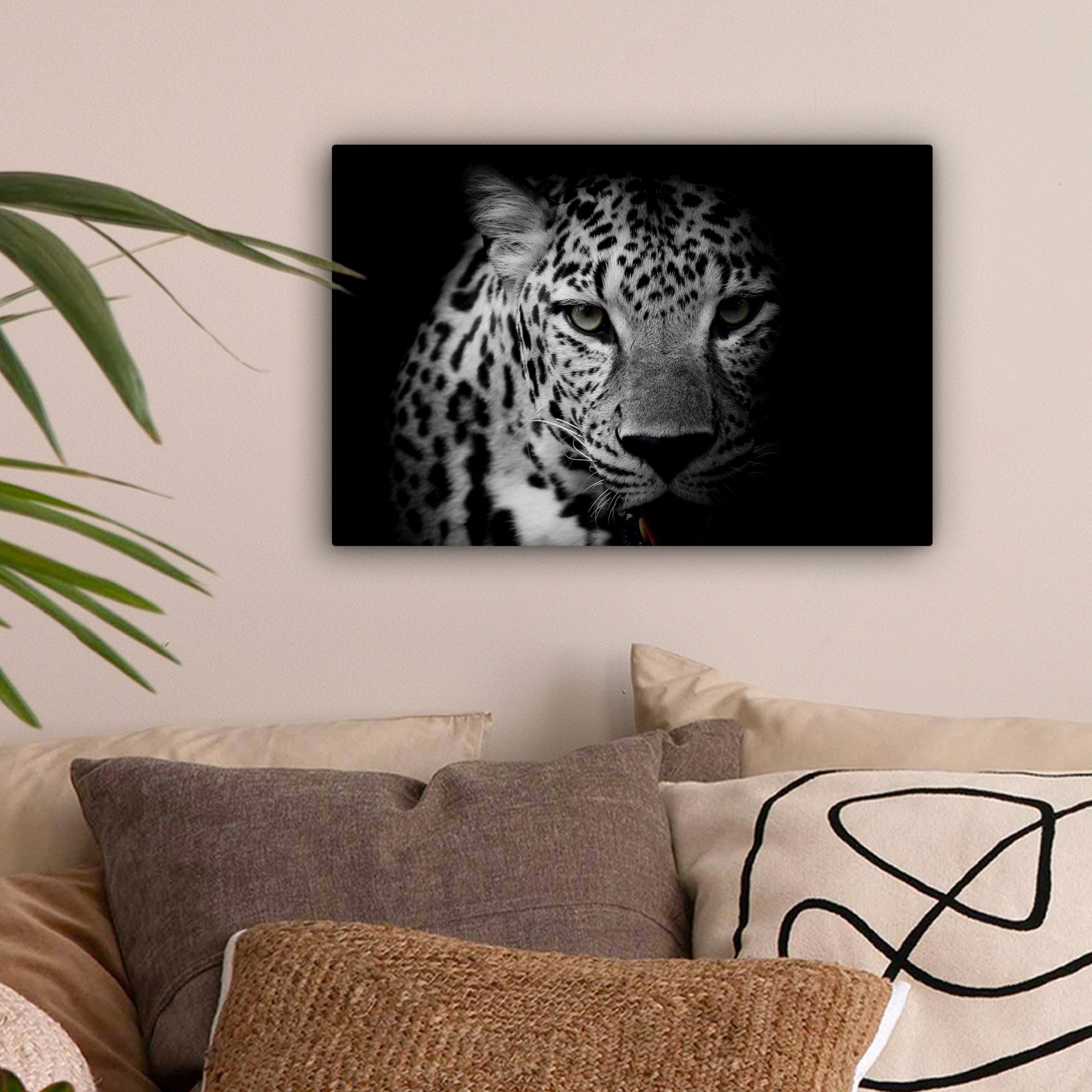 OneMillionCanvasses® Leinwandbild Tiere - Schwarz - günstig online kaufen
