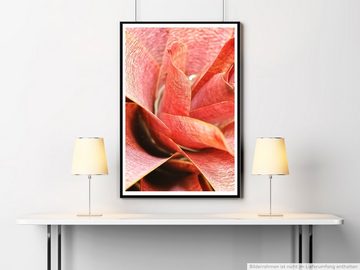 Sinus Art Poster 60x90cm Naturfotografie Poster Nahaufnahme einer roten Pflanze