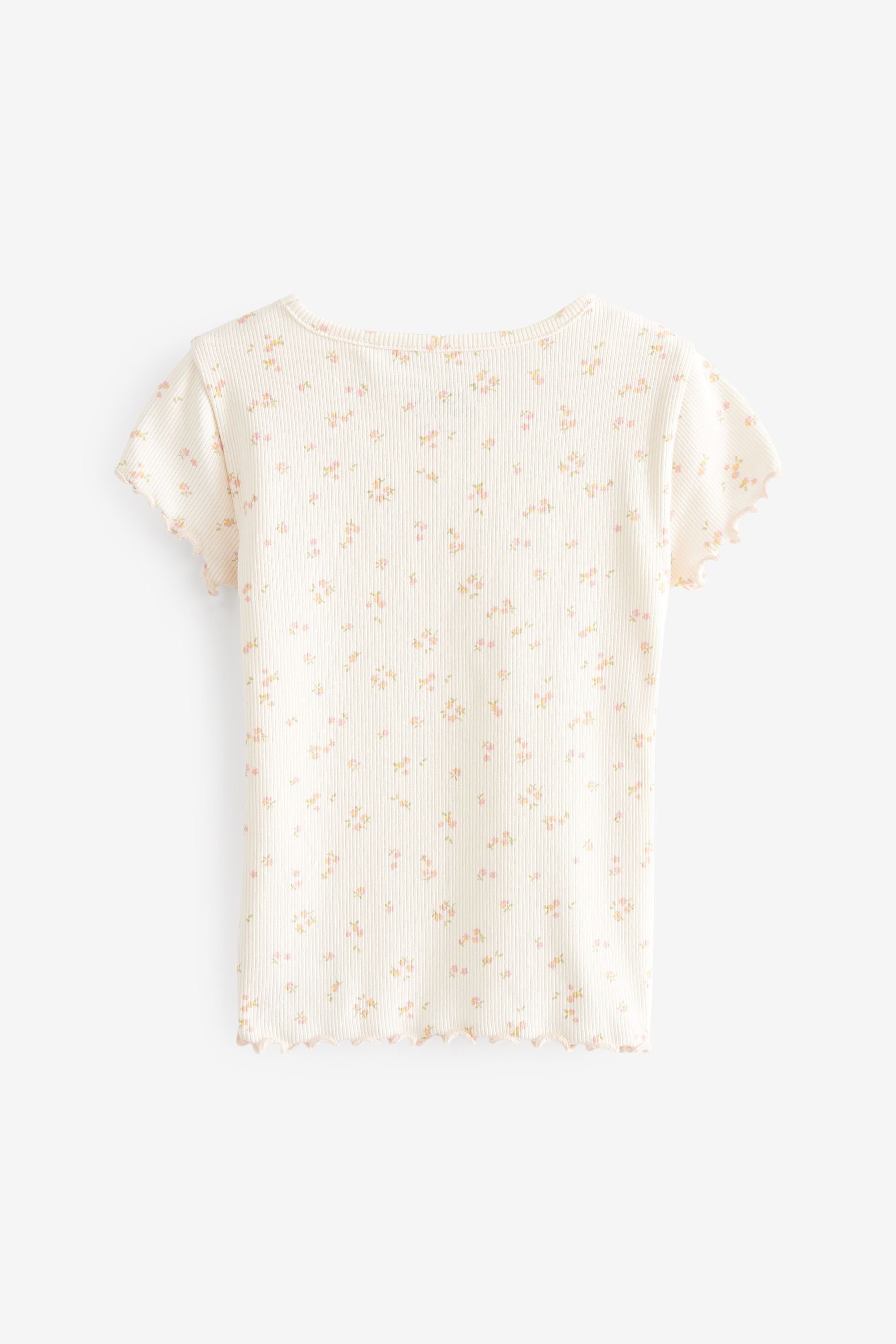 Ecru Next T-Shirt Floral (1-tlg) Ditsy Cream Kurzarm-T-Shirt Geripptes