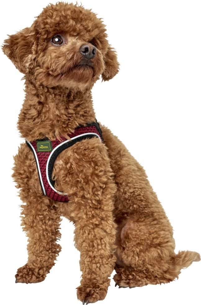 Hunter Hunde-Geschirr Hunter Hundegeschirr Hilo Comfort S rot, Polyester