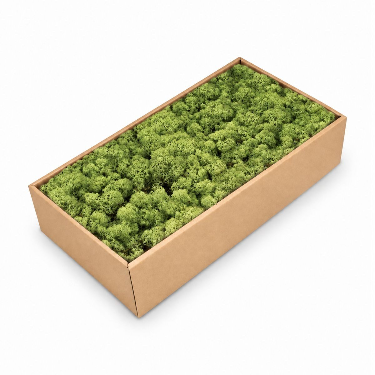 NaDeco Bastelnaturmaterial Islandmoos Waldgrün 500g