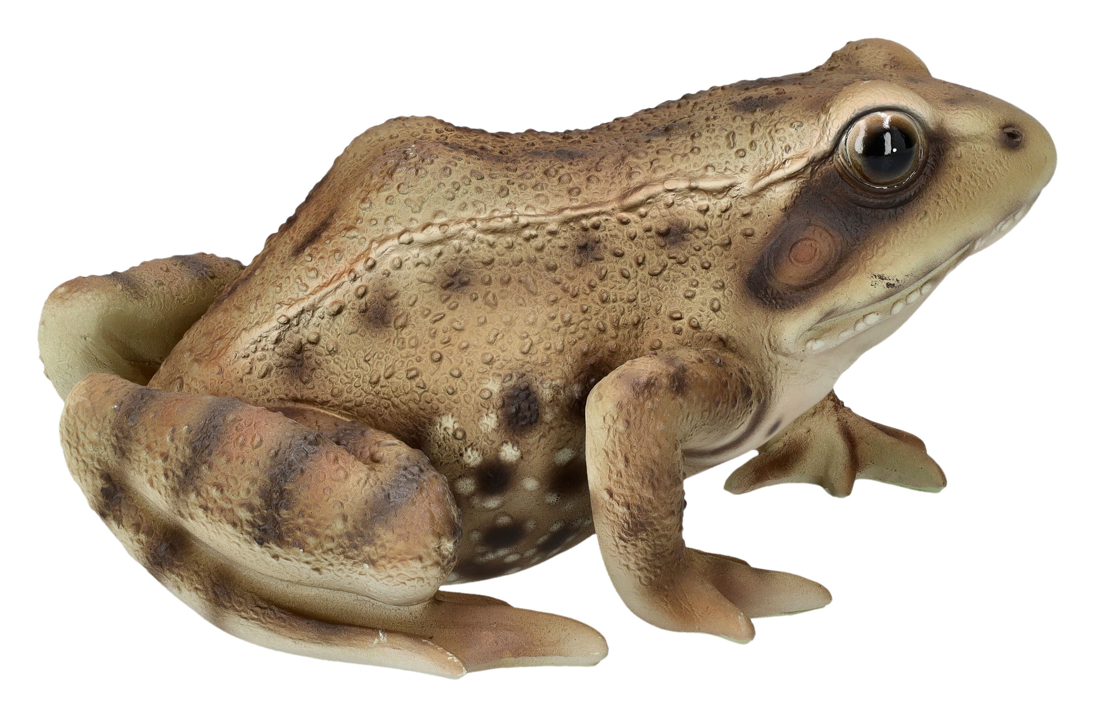 Figuren Shop GmbH Gartenfigur Gartenfigur - Frosch braun - HotAnt Garten Dekoration Teich Dekofigur