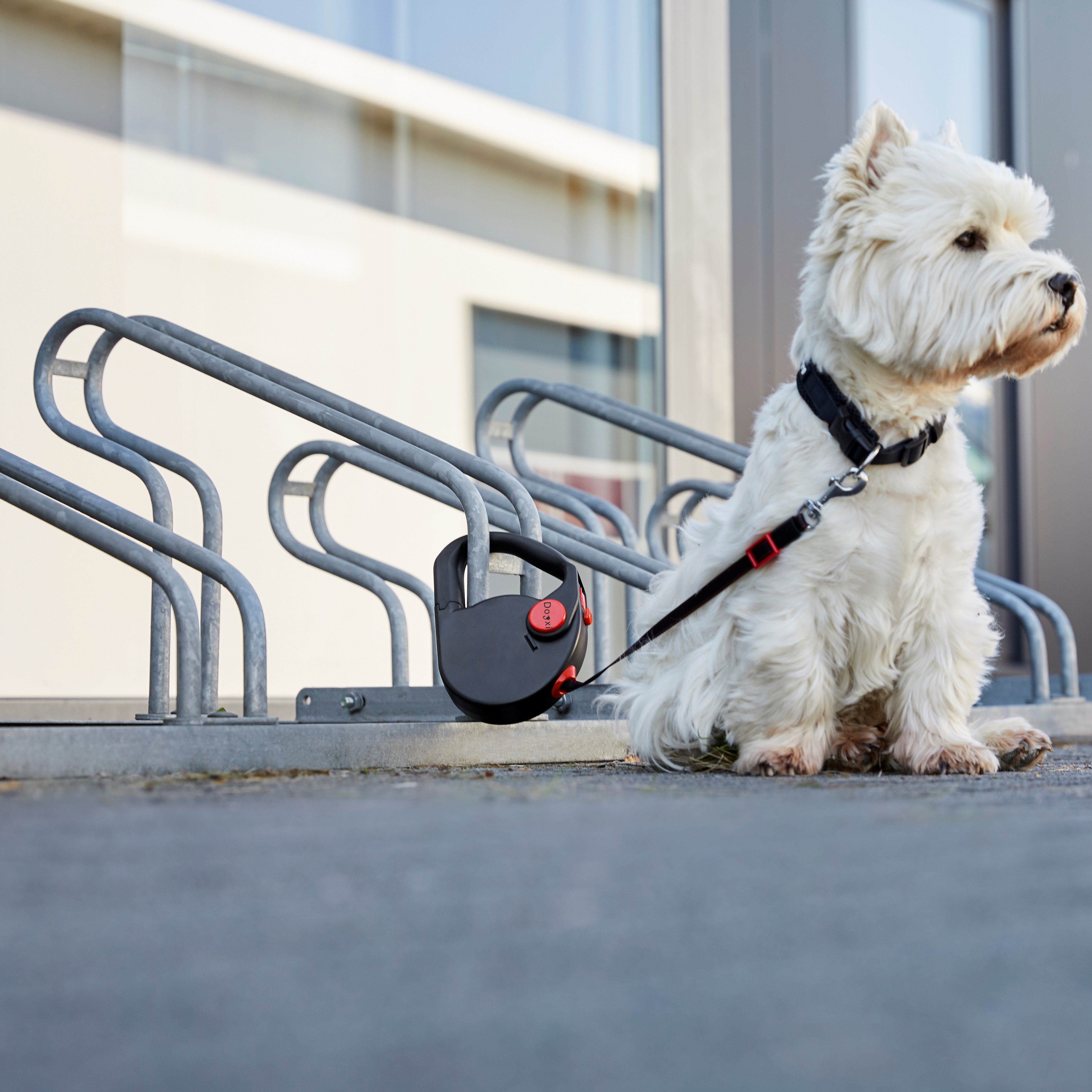 Dogxi Hundeleine Rollleine 5m Hund 25kg Griff aufklappbar Gurtzunge im Auto befestigen, Griff lässt sich durch Druckknopf öffnen für ein bequemes Anleinen