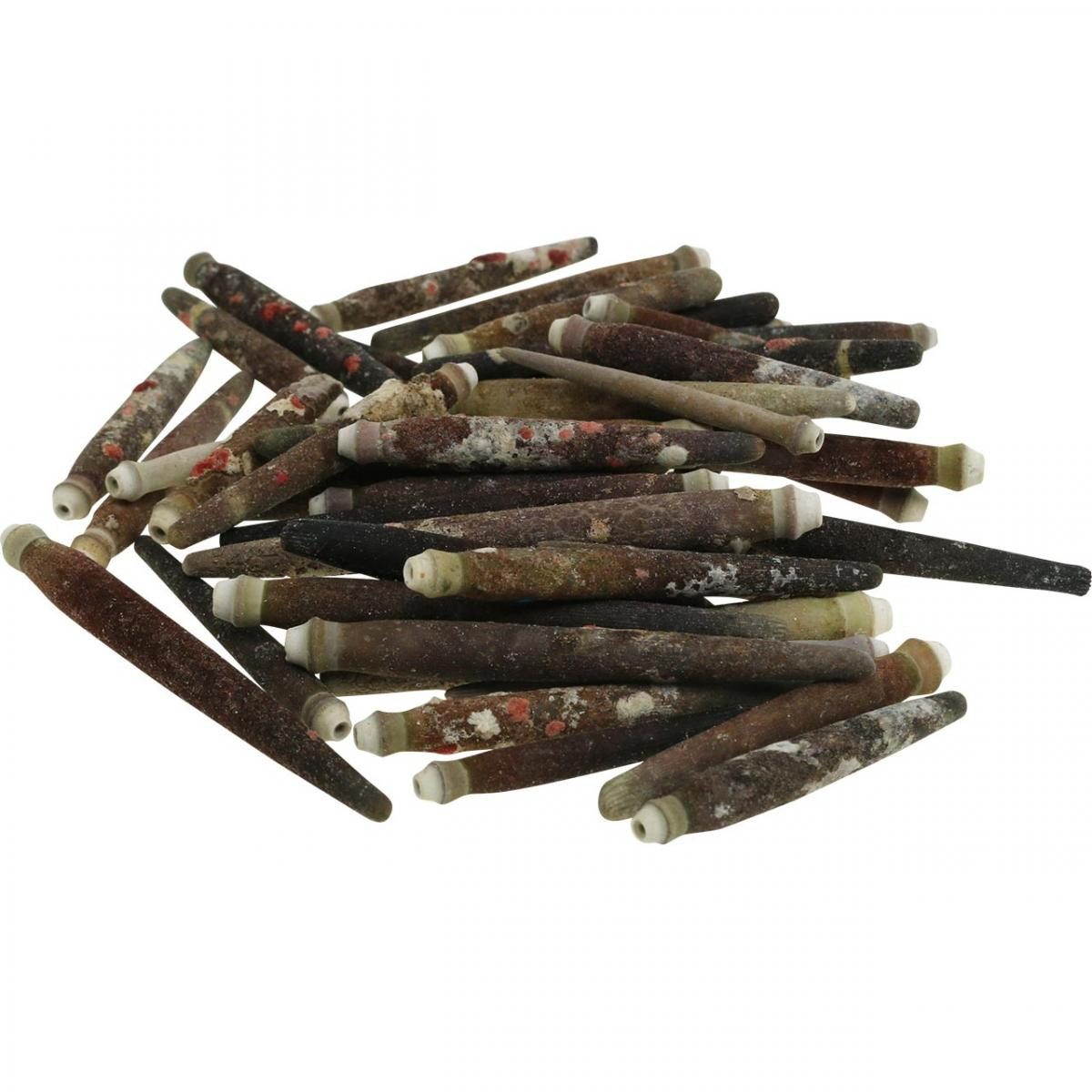 Viana Bastelnaturmaterial Dekoration Seeigelstacheln für maritime Bastelideen und