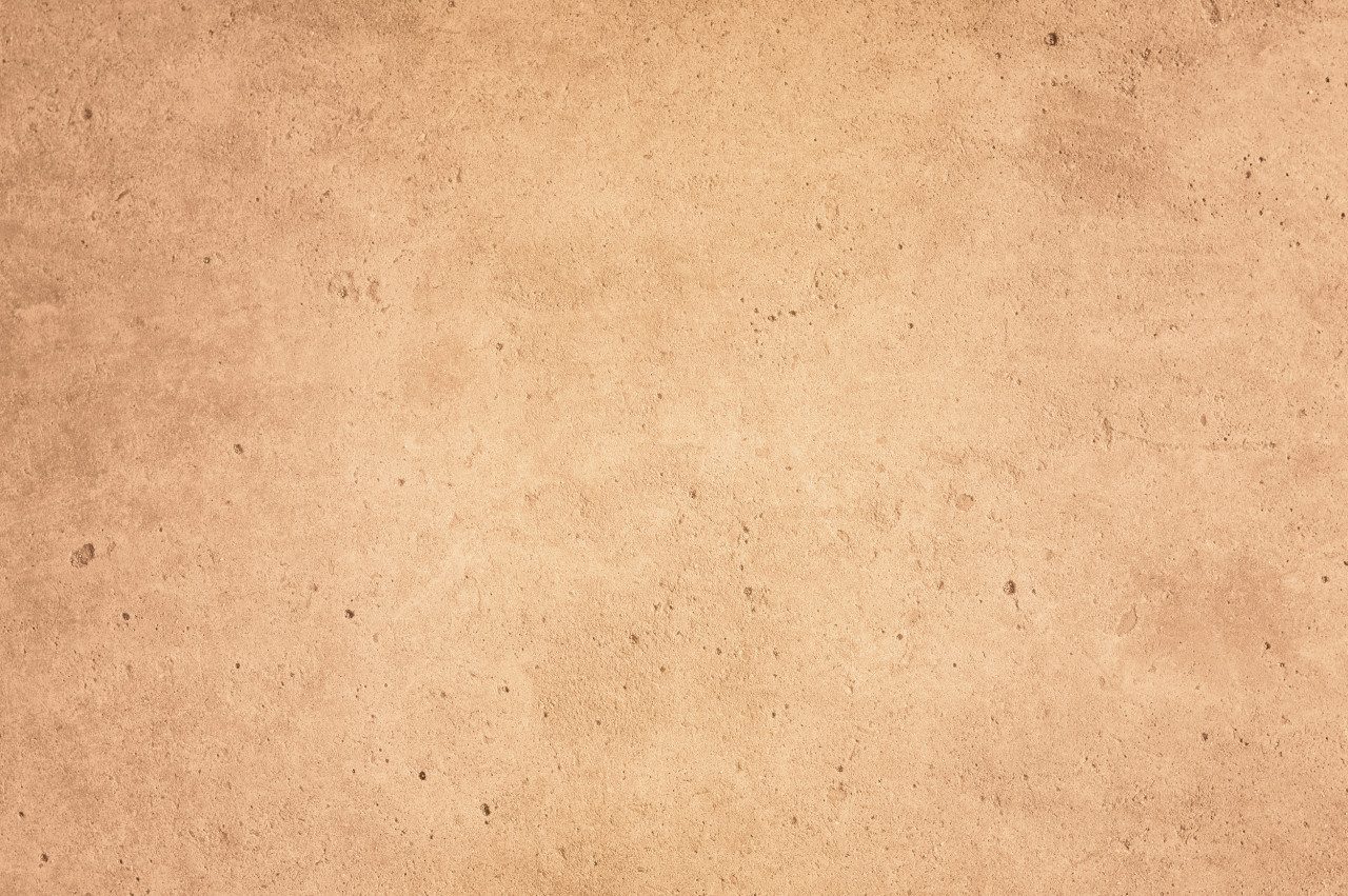 Alpina Vollton- und Abtönfarbe Alpina Konzentrat Mineral Beton lehmbraun 65 ml